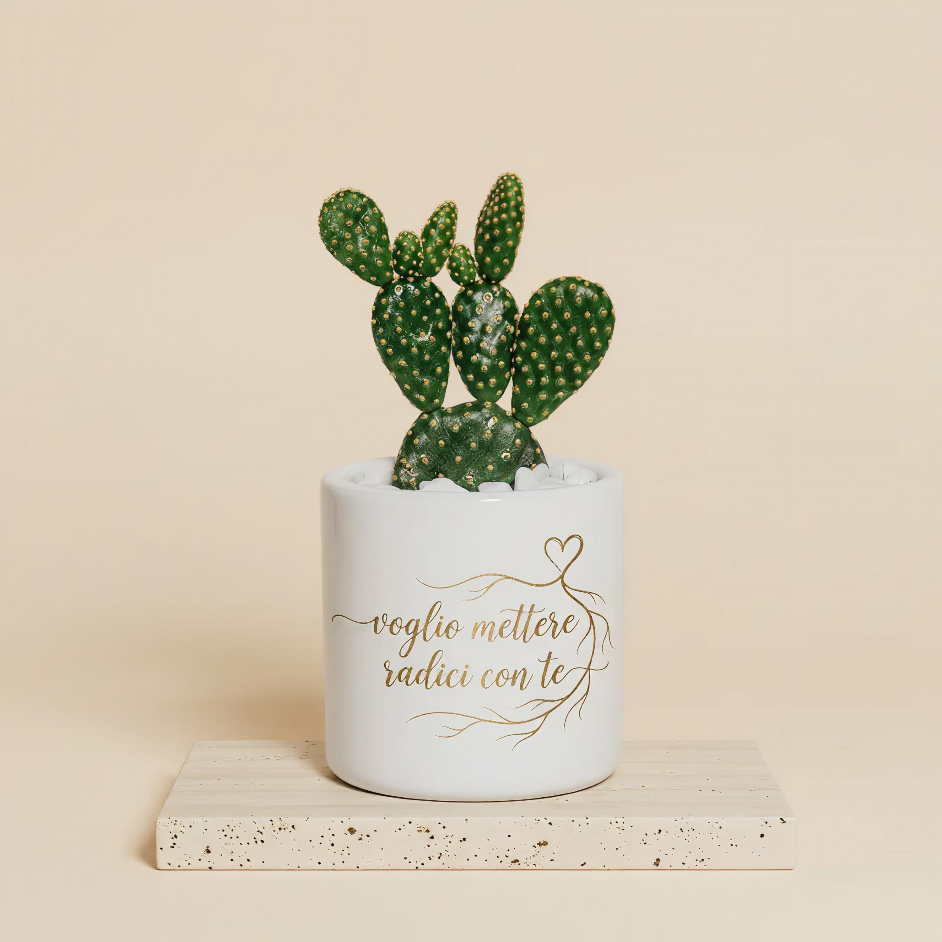 Voglio mettere radici con te