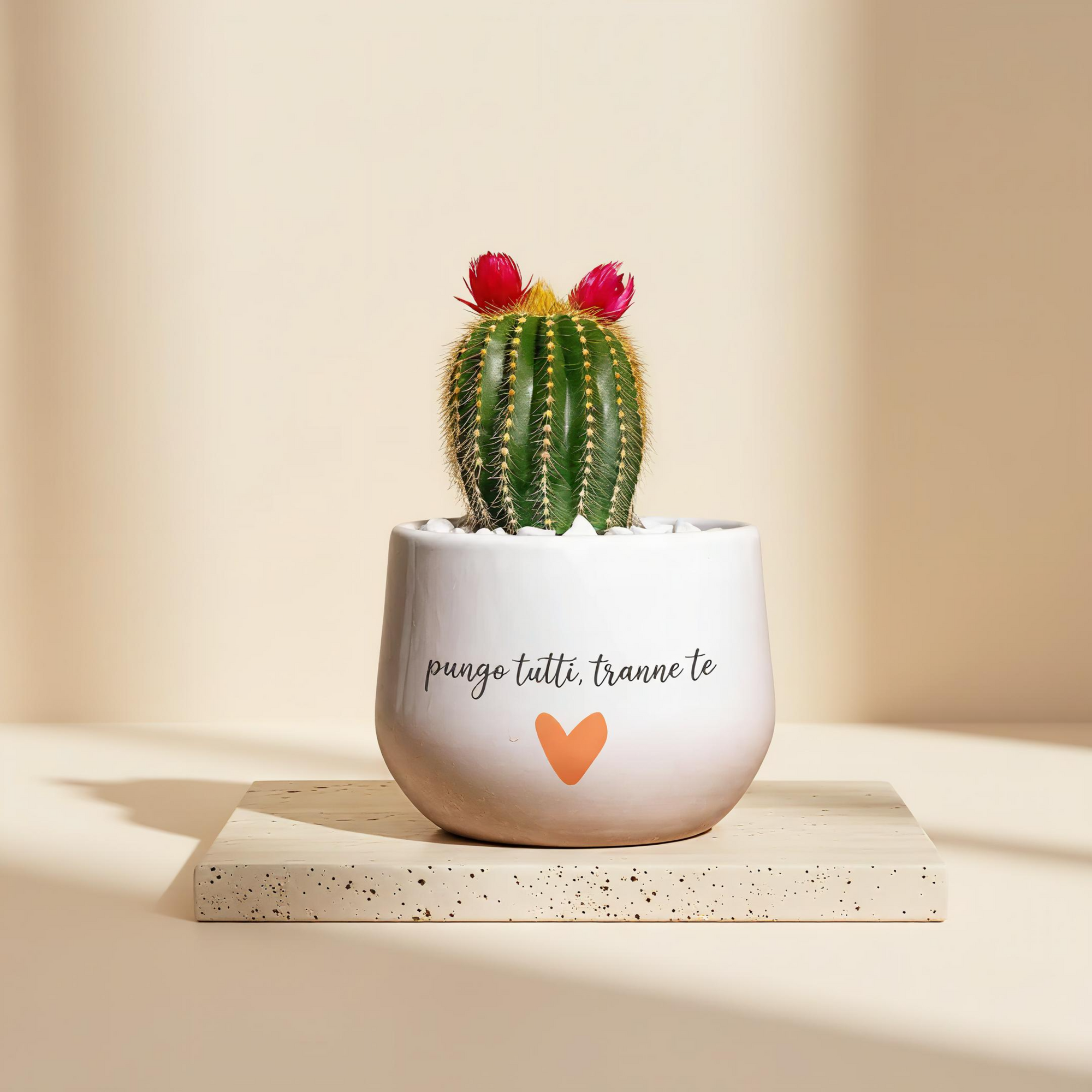 Pungo tutti tranne te