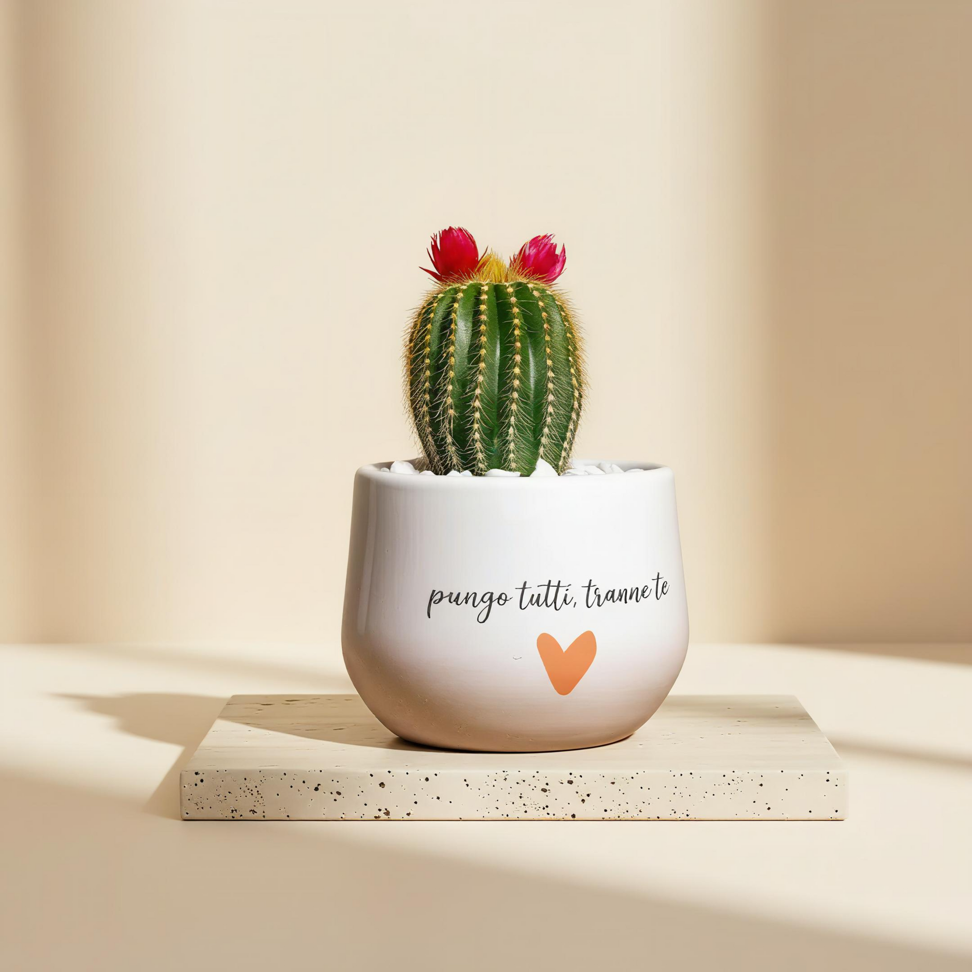 Pungo tutti tranne te