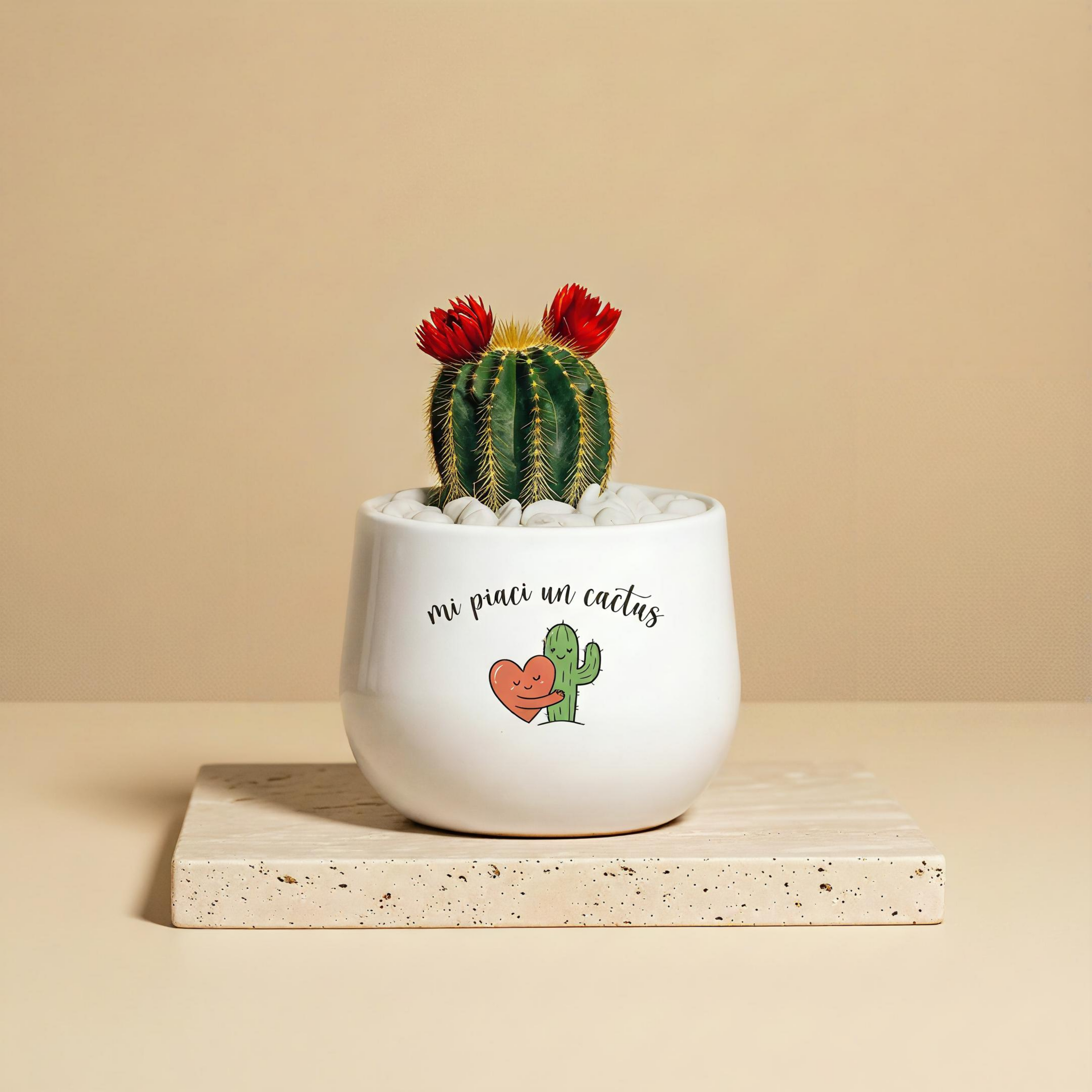 Mi piaci un cactus