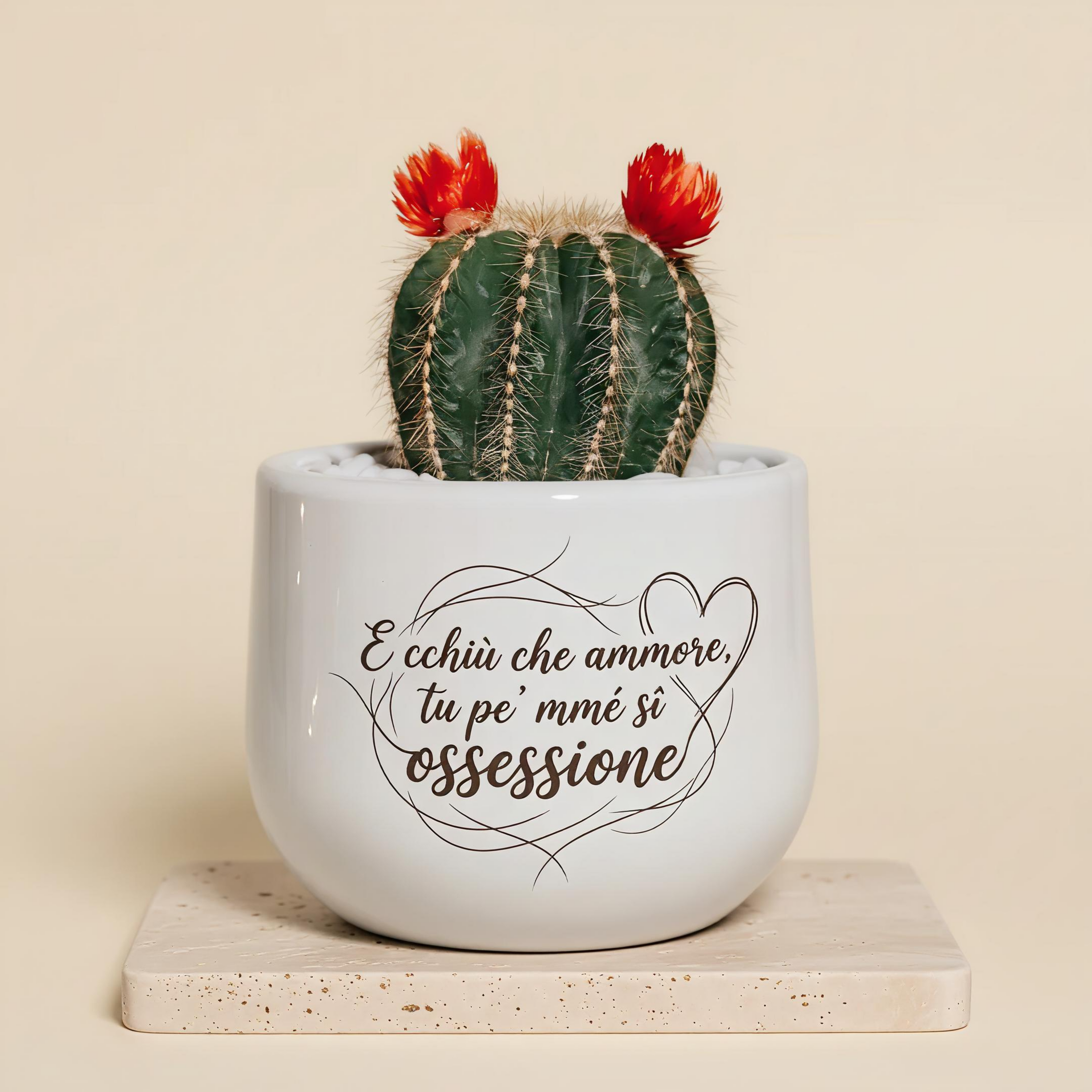 ⁠⁠E cchiù che ammore, tu pe'mmé sî ossessione