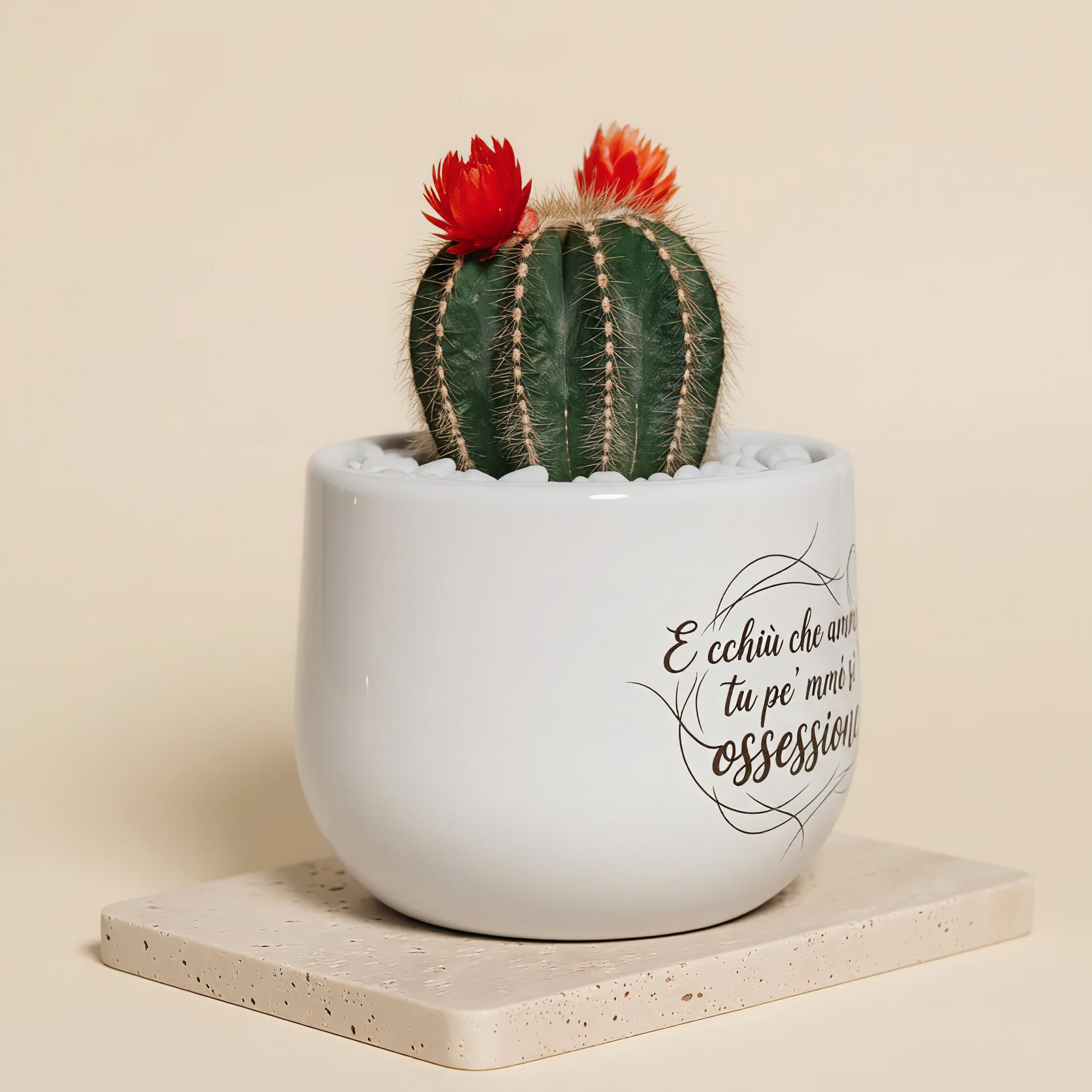 ⁠⁠E cchiù che ammore, tu pe'mmé sî ossessione