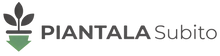 Piantala Subito