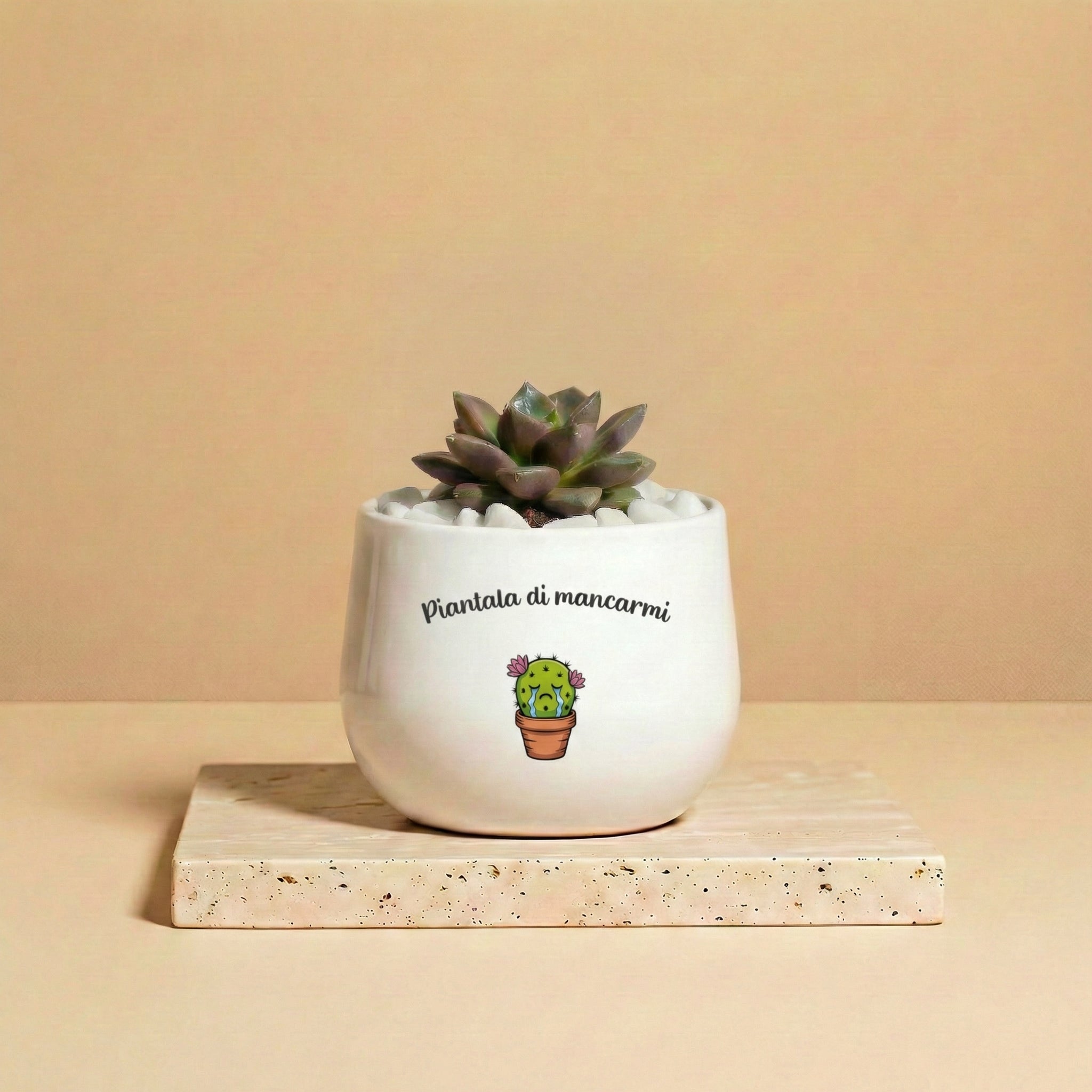 Piantala di mancarmi