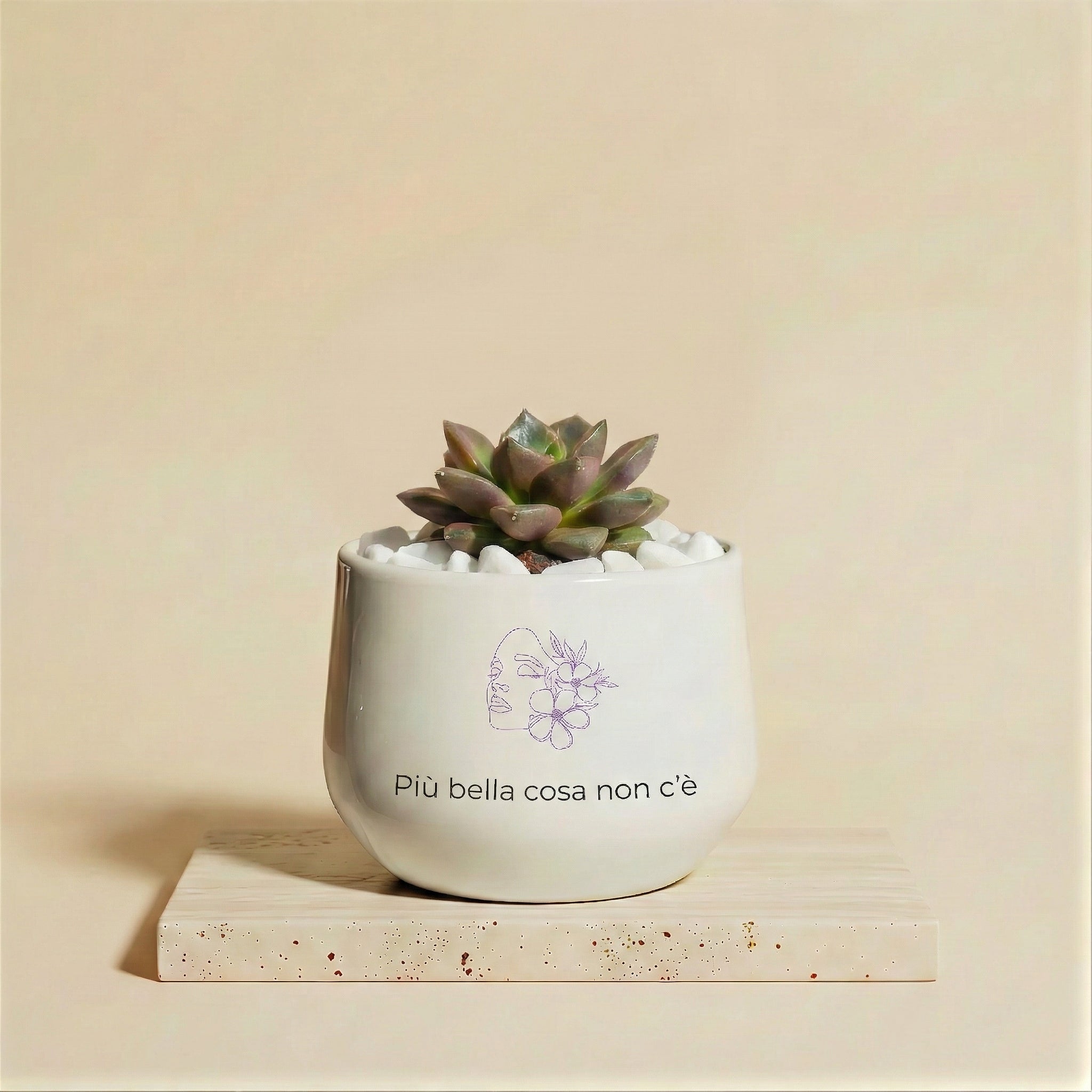 Più bella cosa non c'è