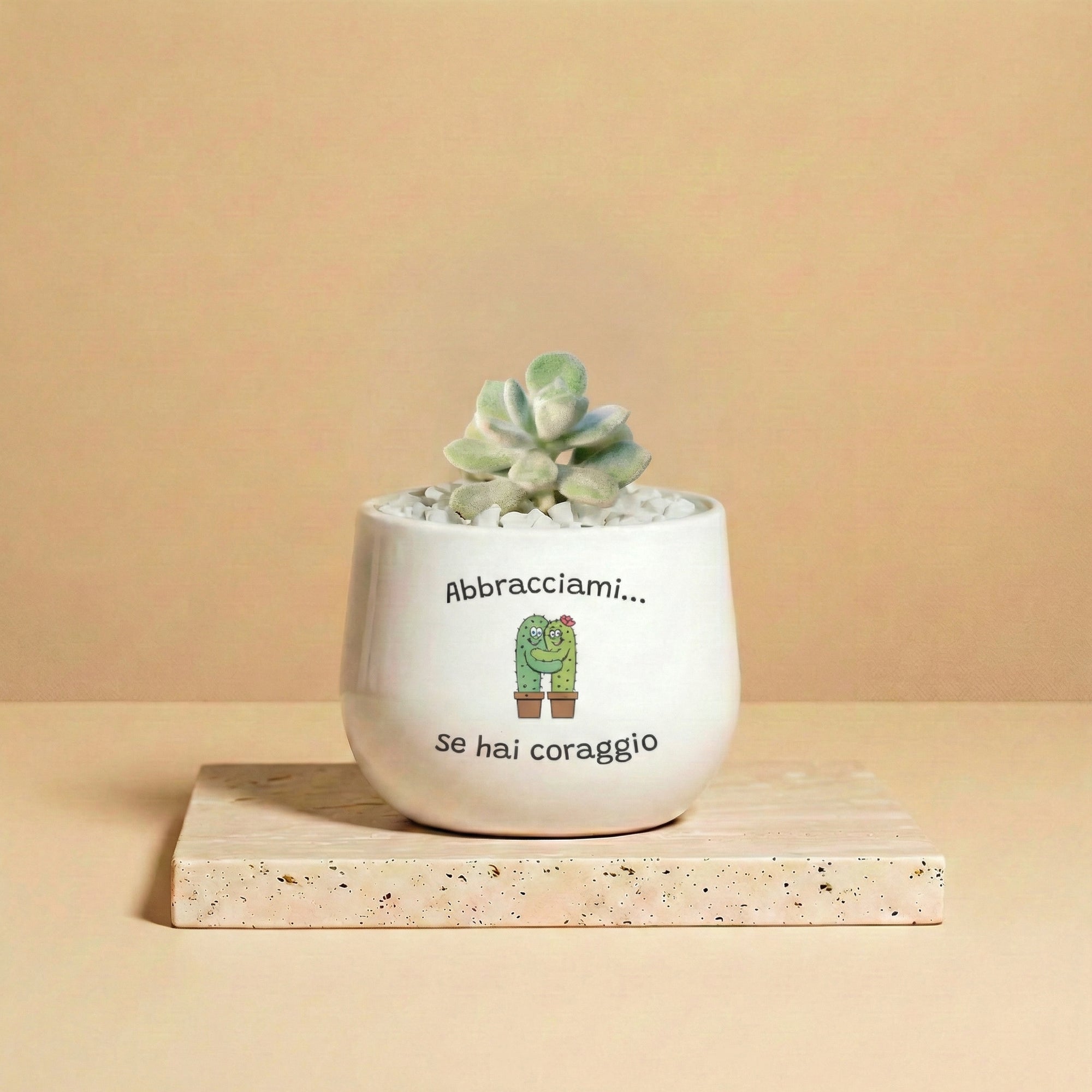 Abbracciami se hai coraggio