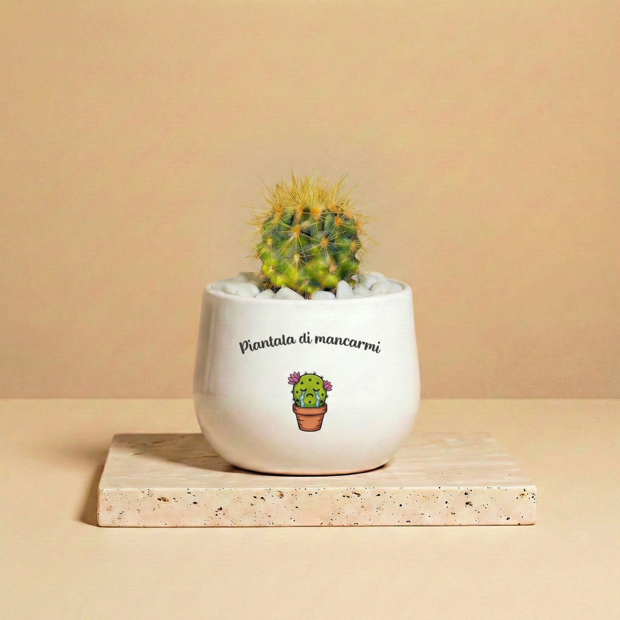 Piantala di mancarmi