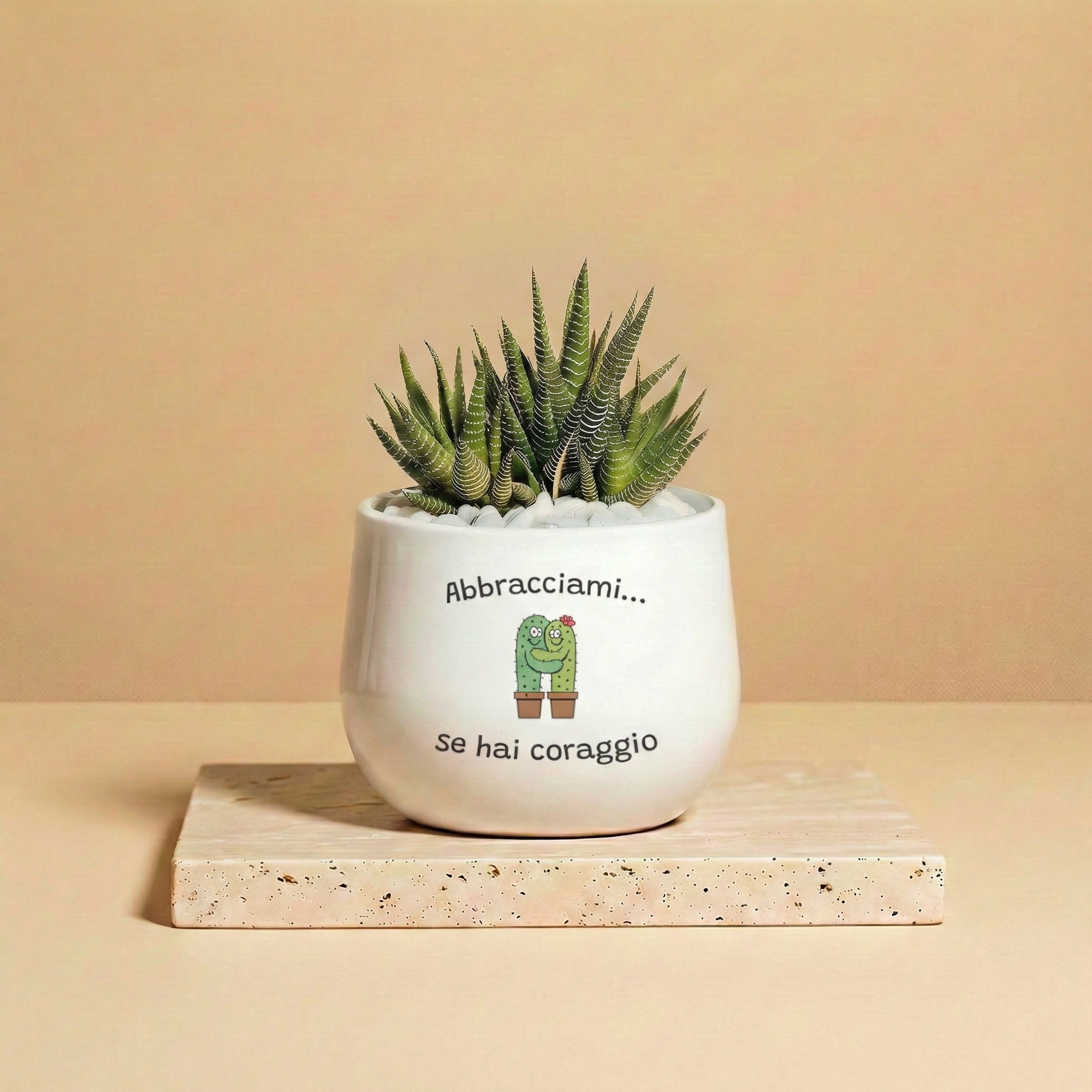 Abbracciami se hai coraggio