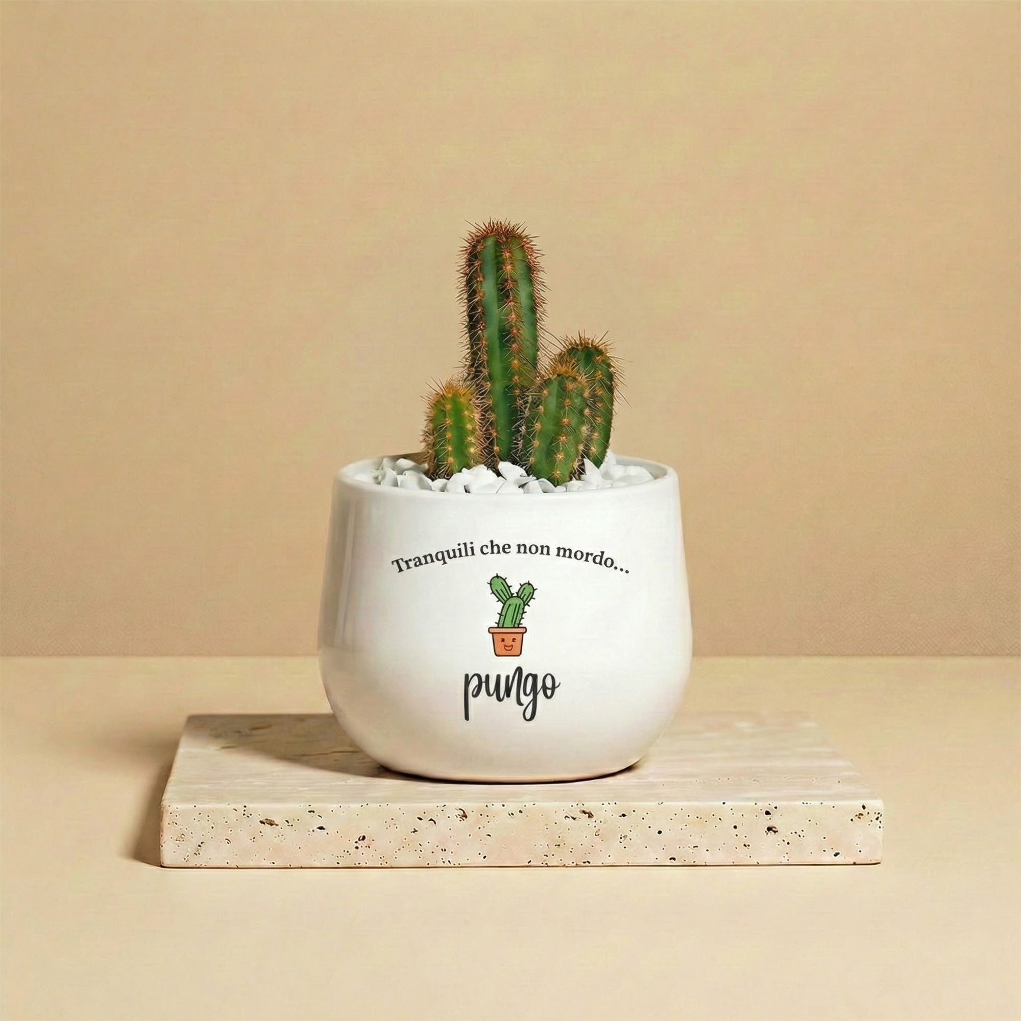 Tranquilli che non mordo...pungo