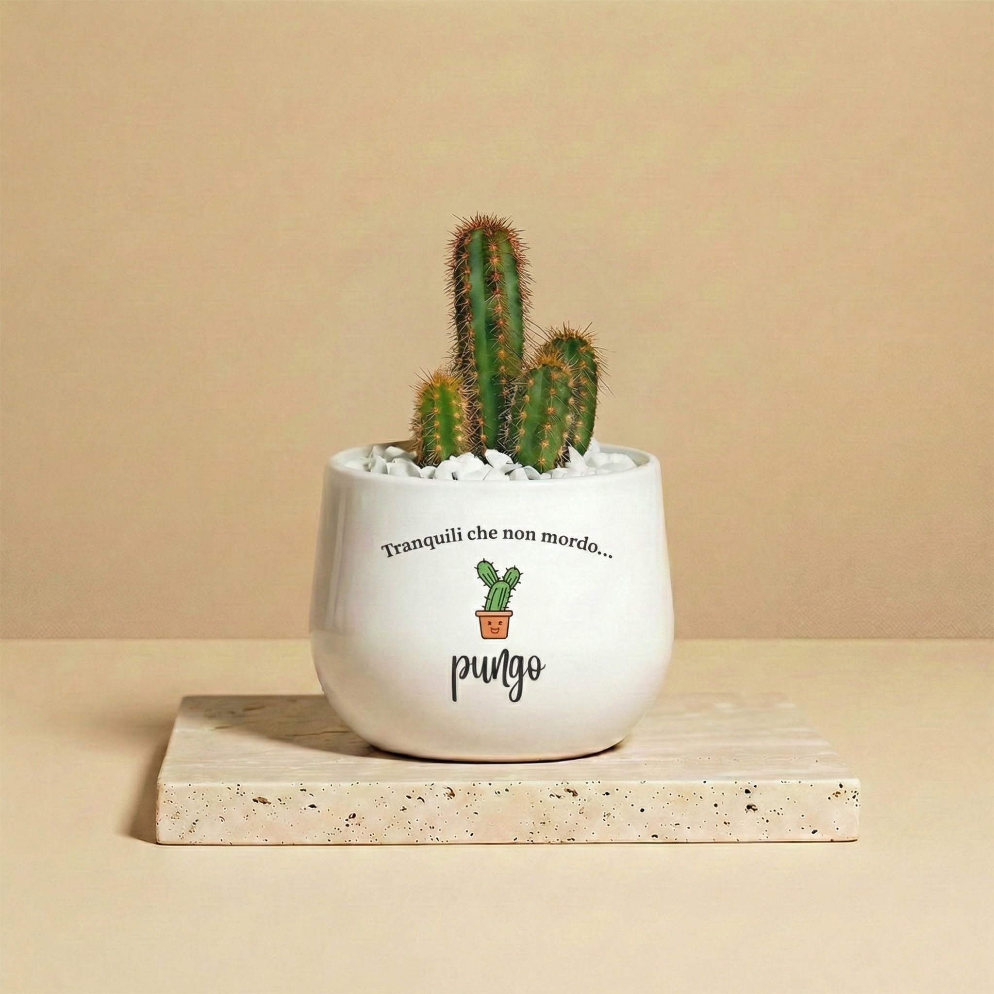 Tranquilli che non mordo...pungo