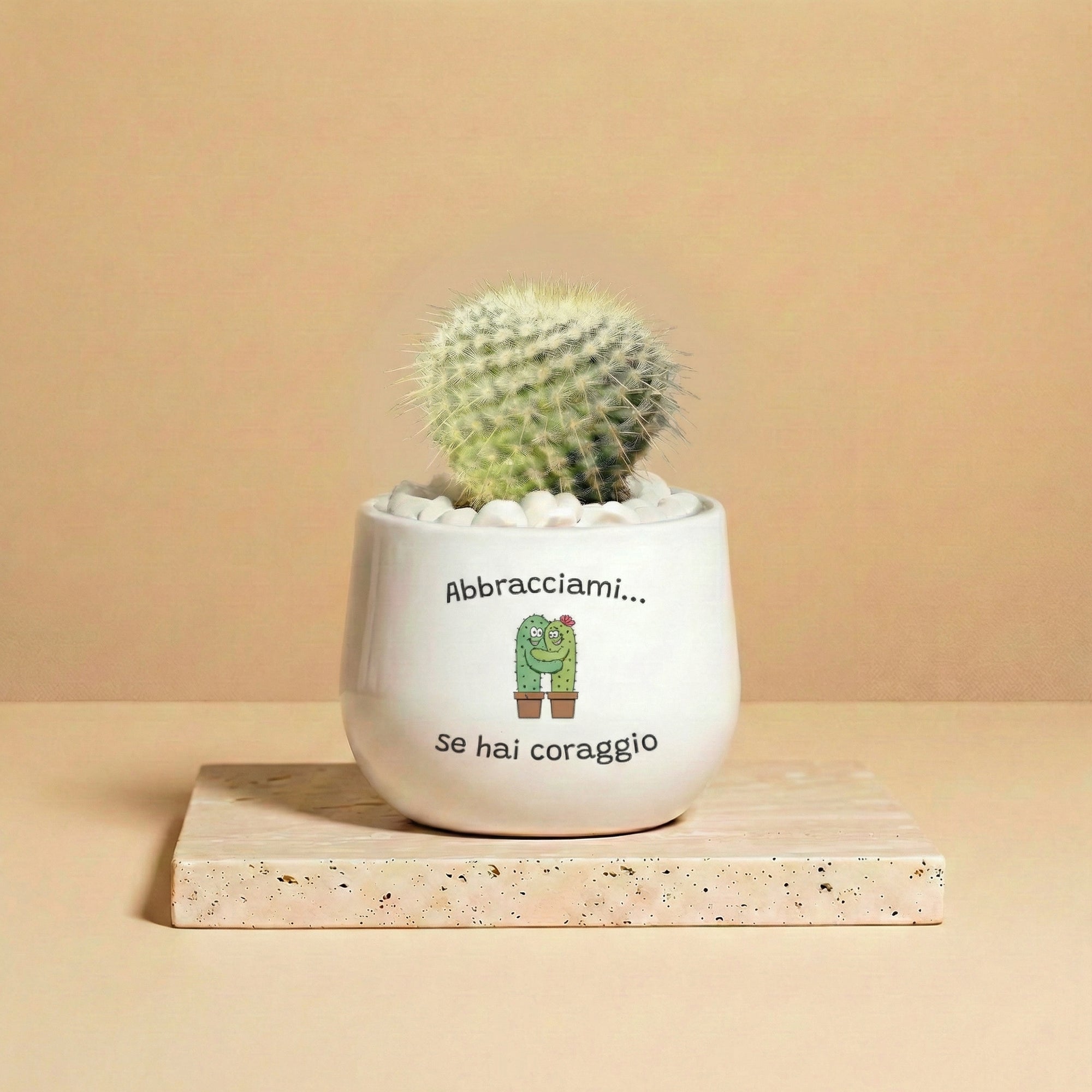 Abbracciami se hai coraggio