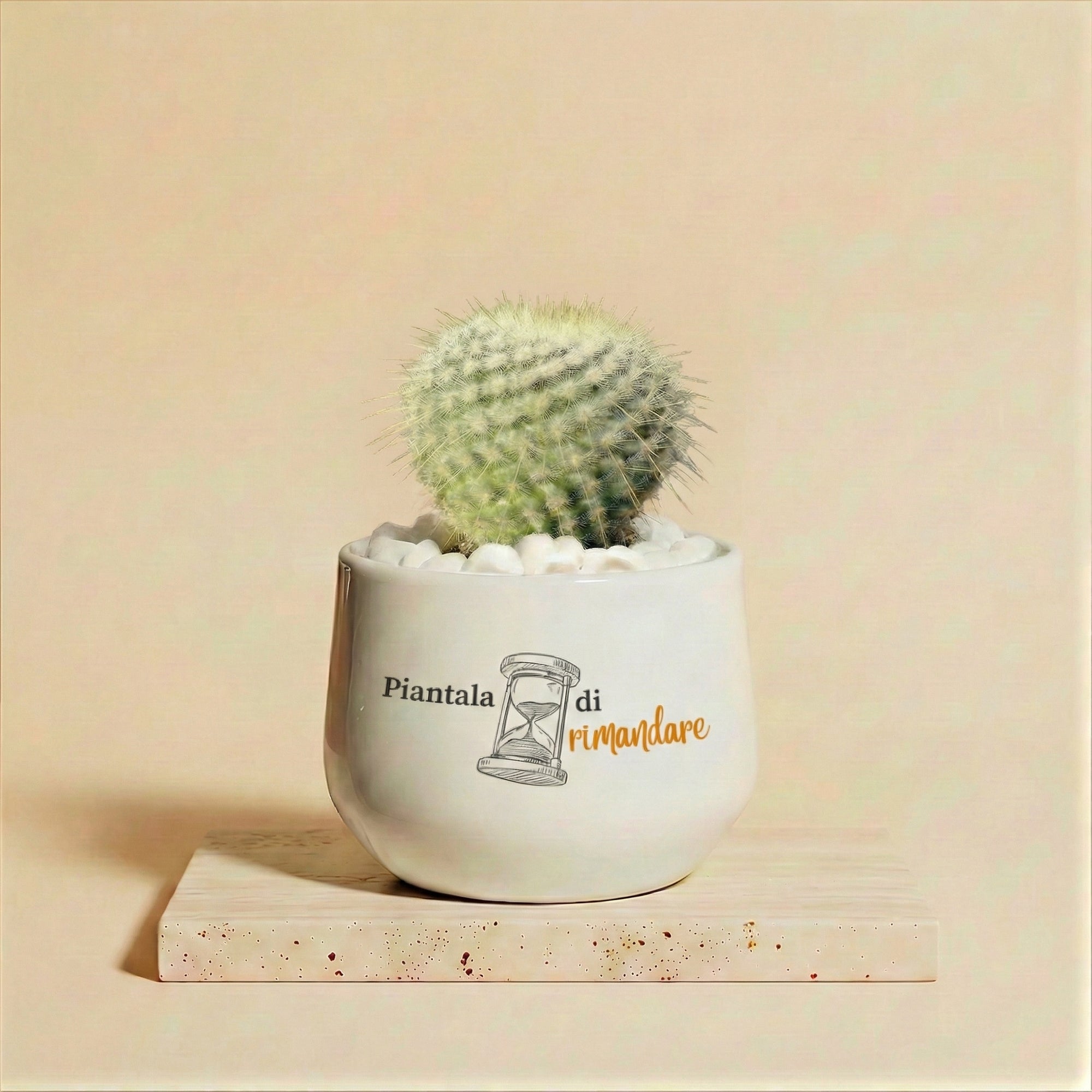 Piantala di rimandare