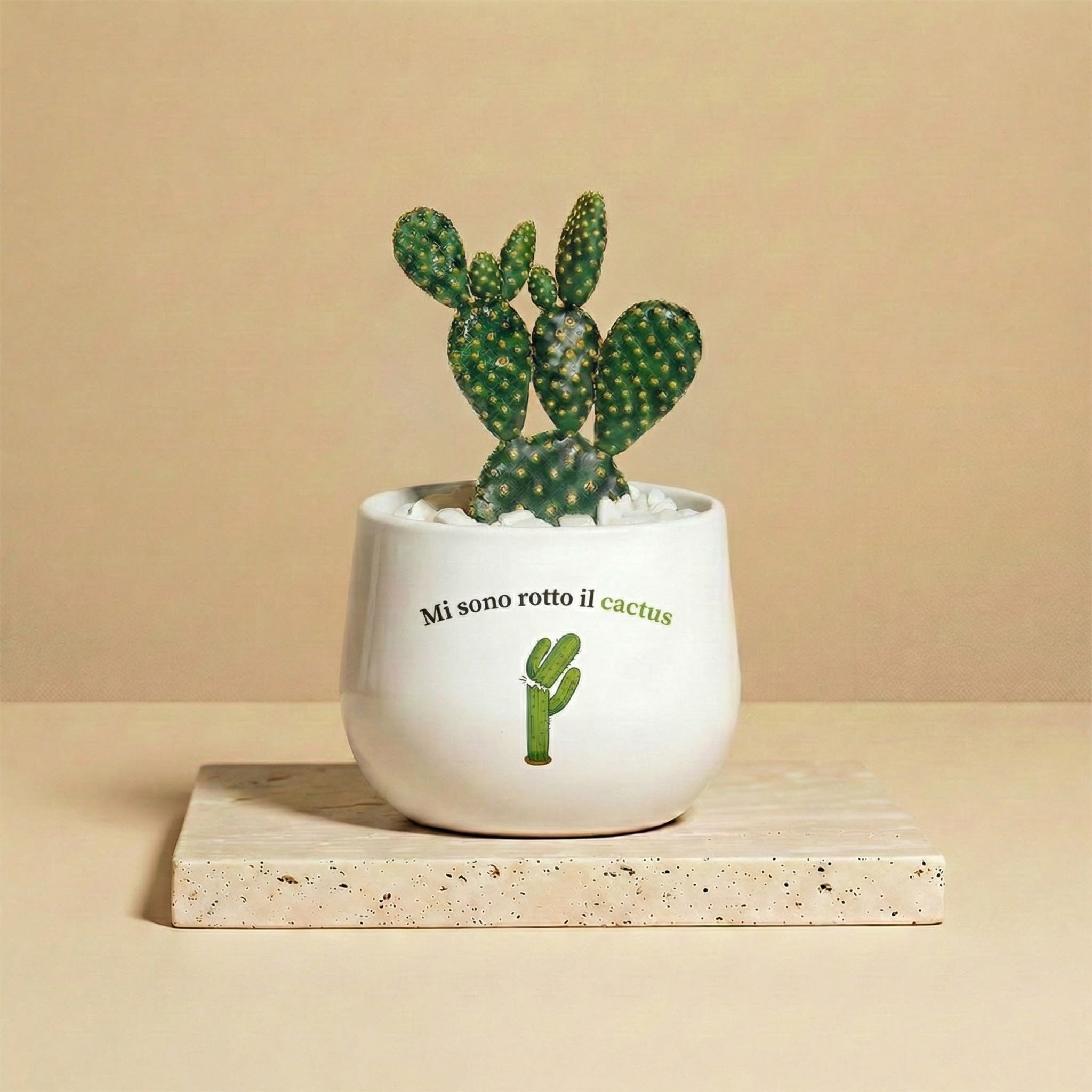 Mi sono rotto il cactus