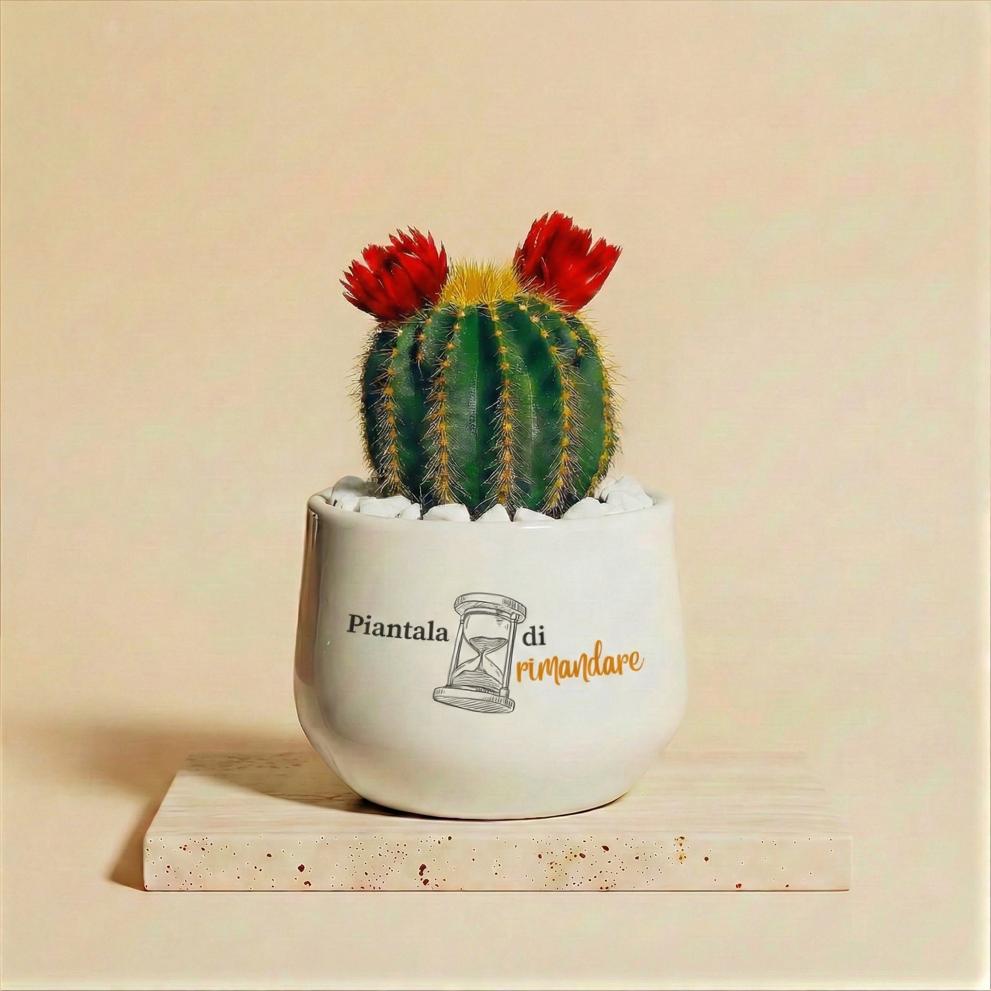 Piantala di rimandare