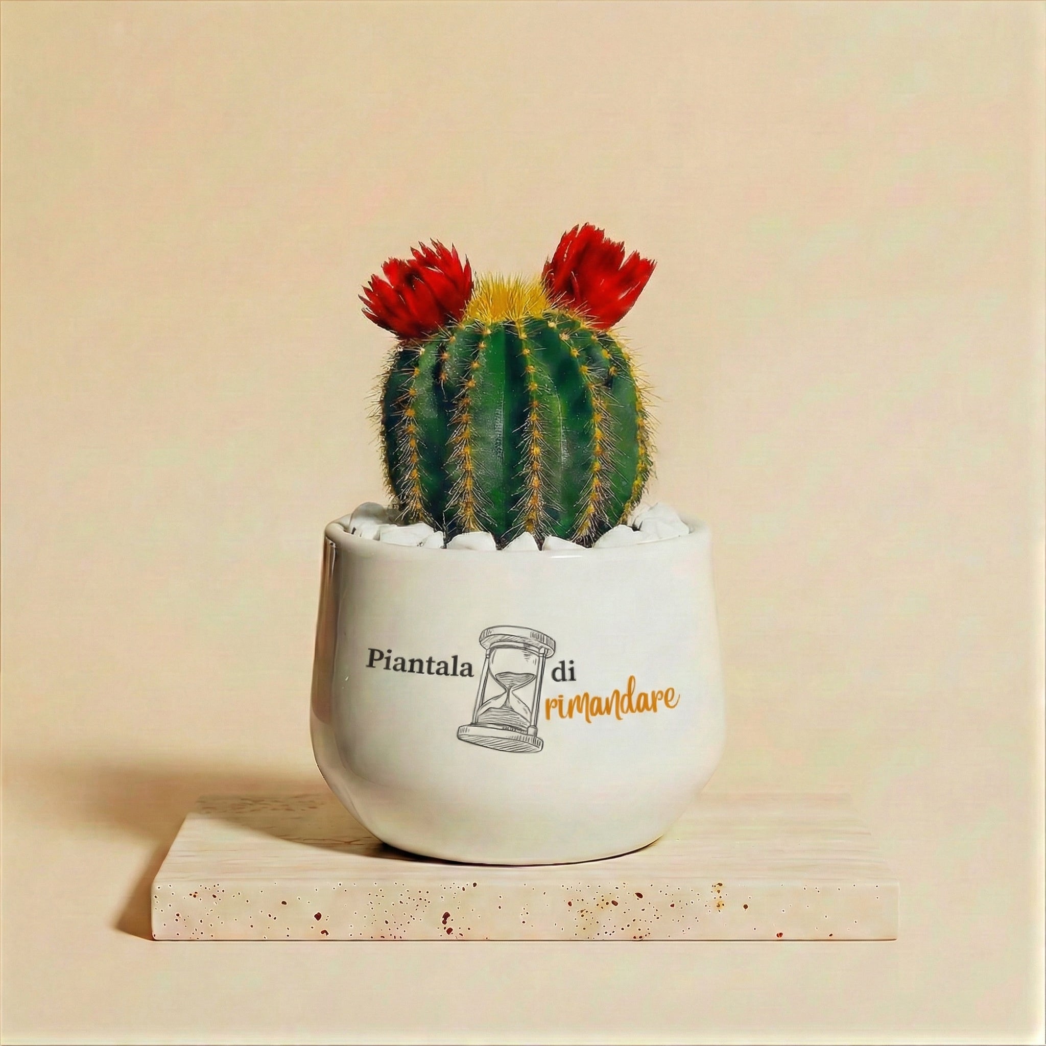 Piantala di rimandare