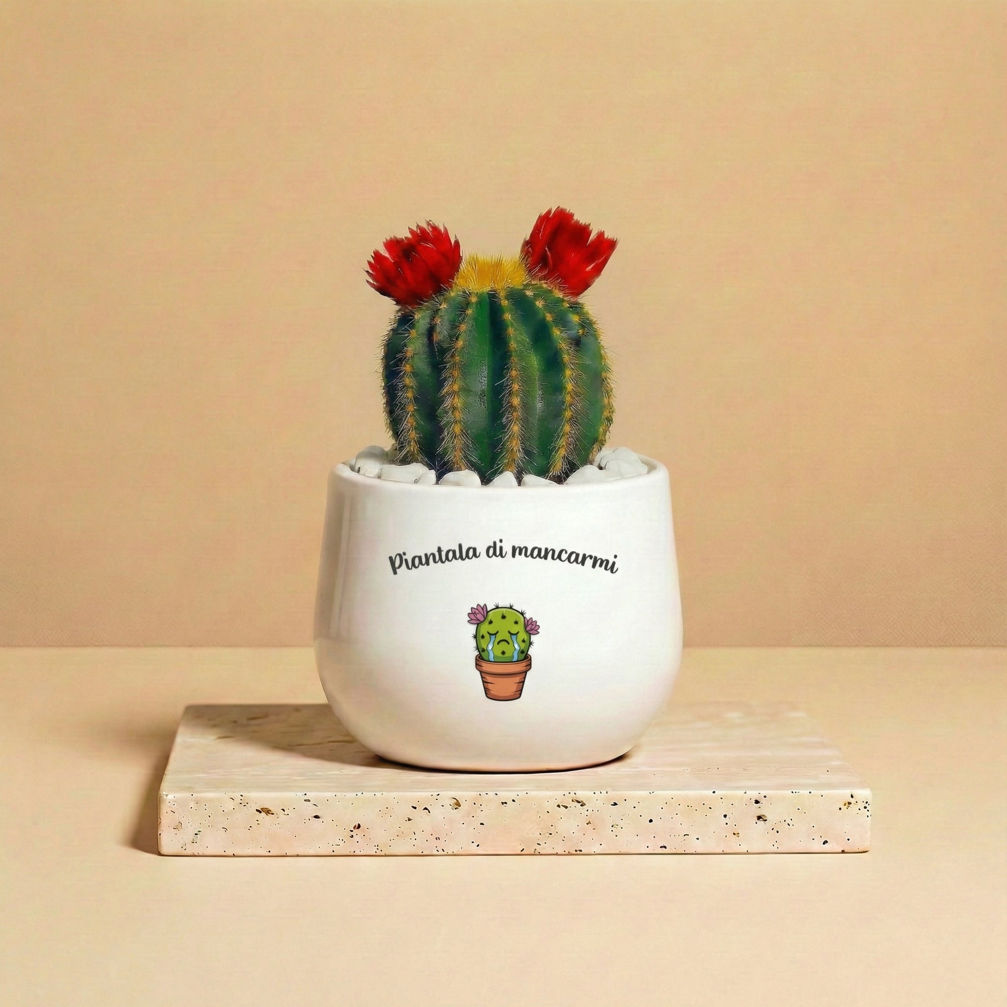 Piantala di mancarmi