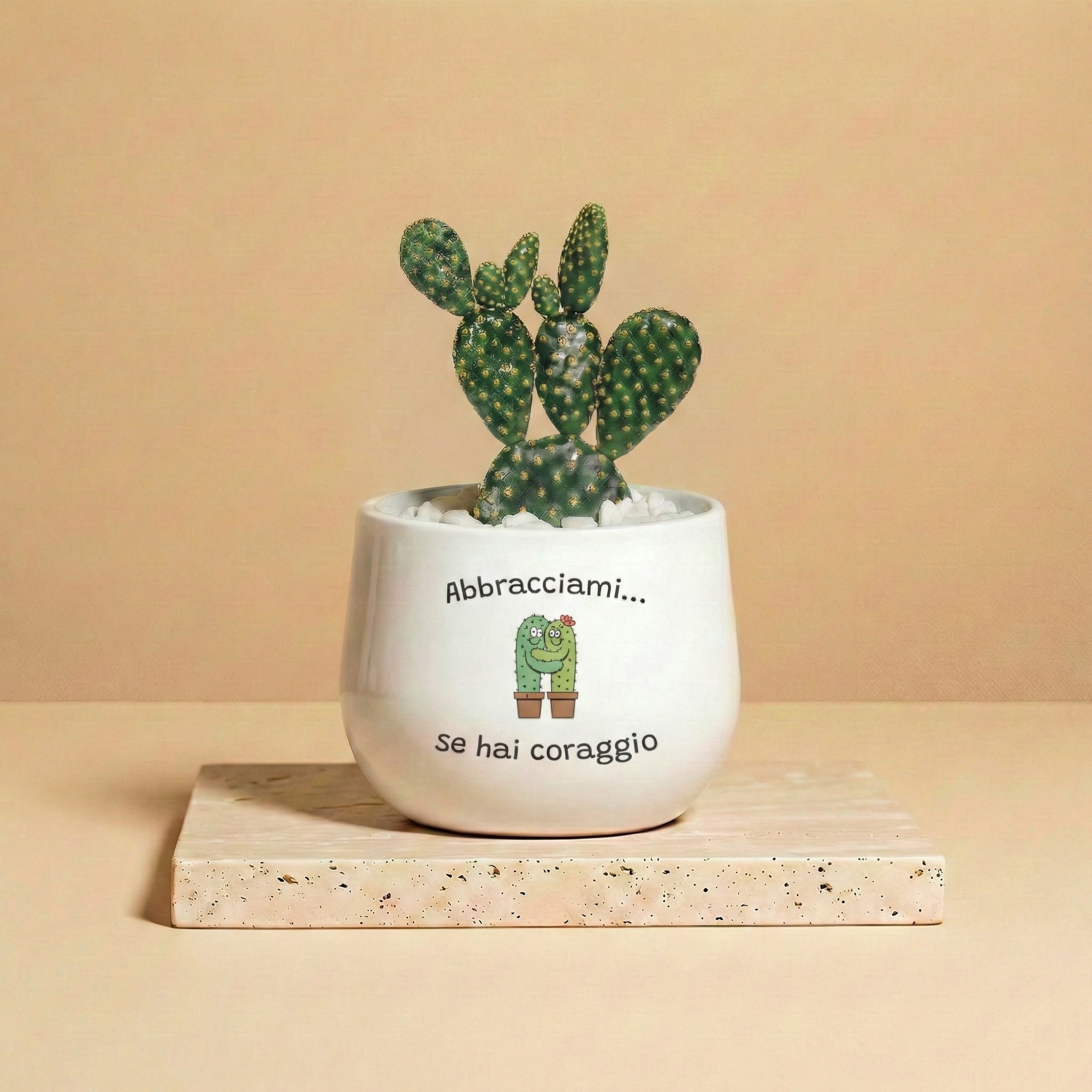 Abbracciami se hai coraggio