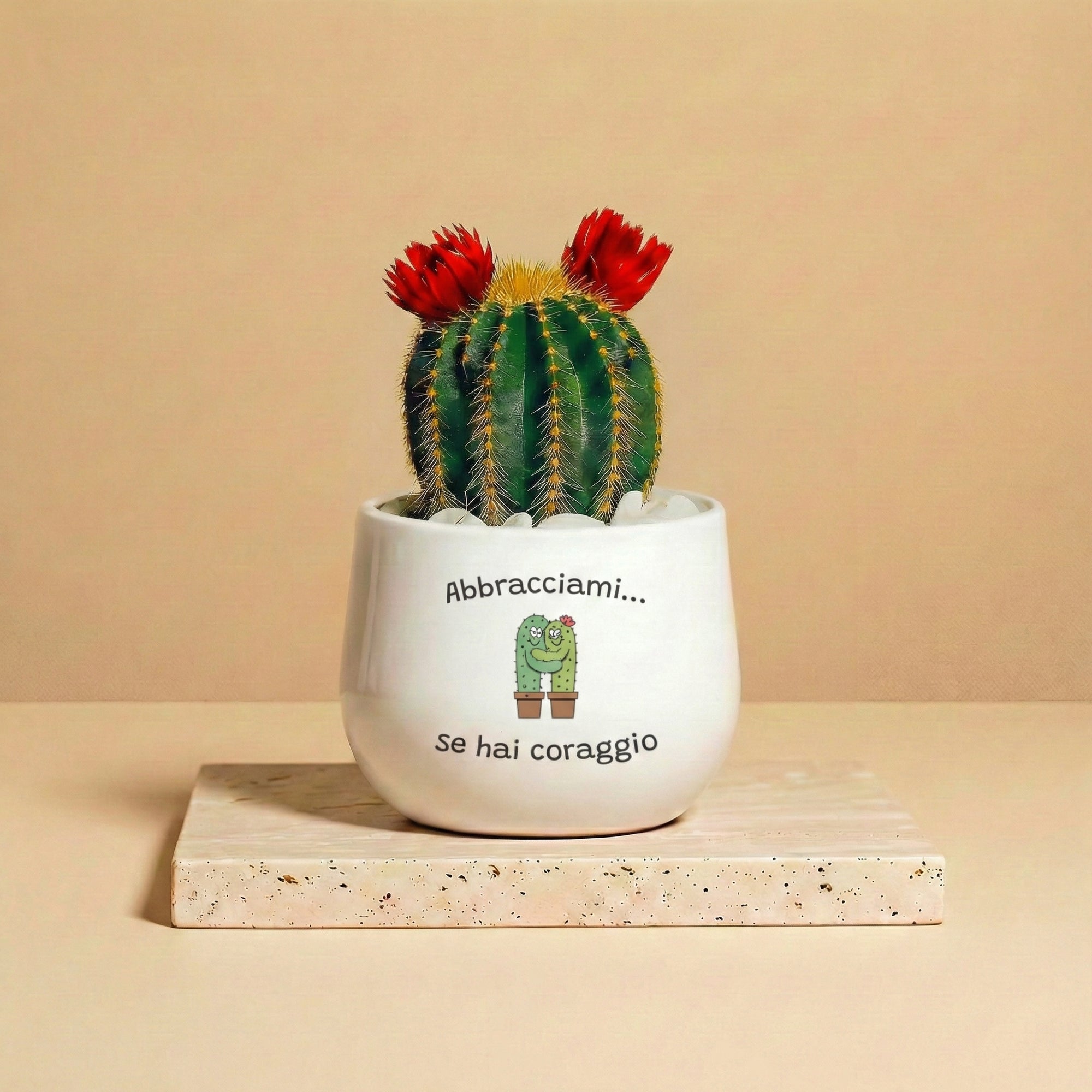 Abbracciami se hai coraggio