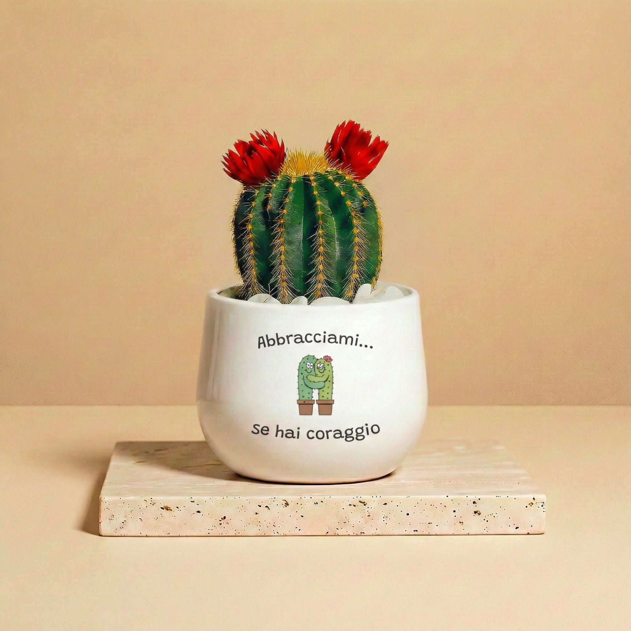 Abbracciami se hai coraggio