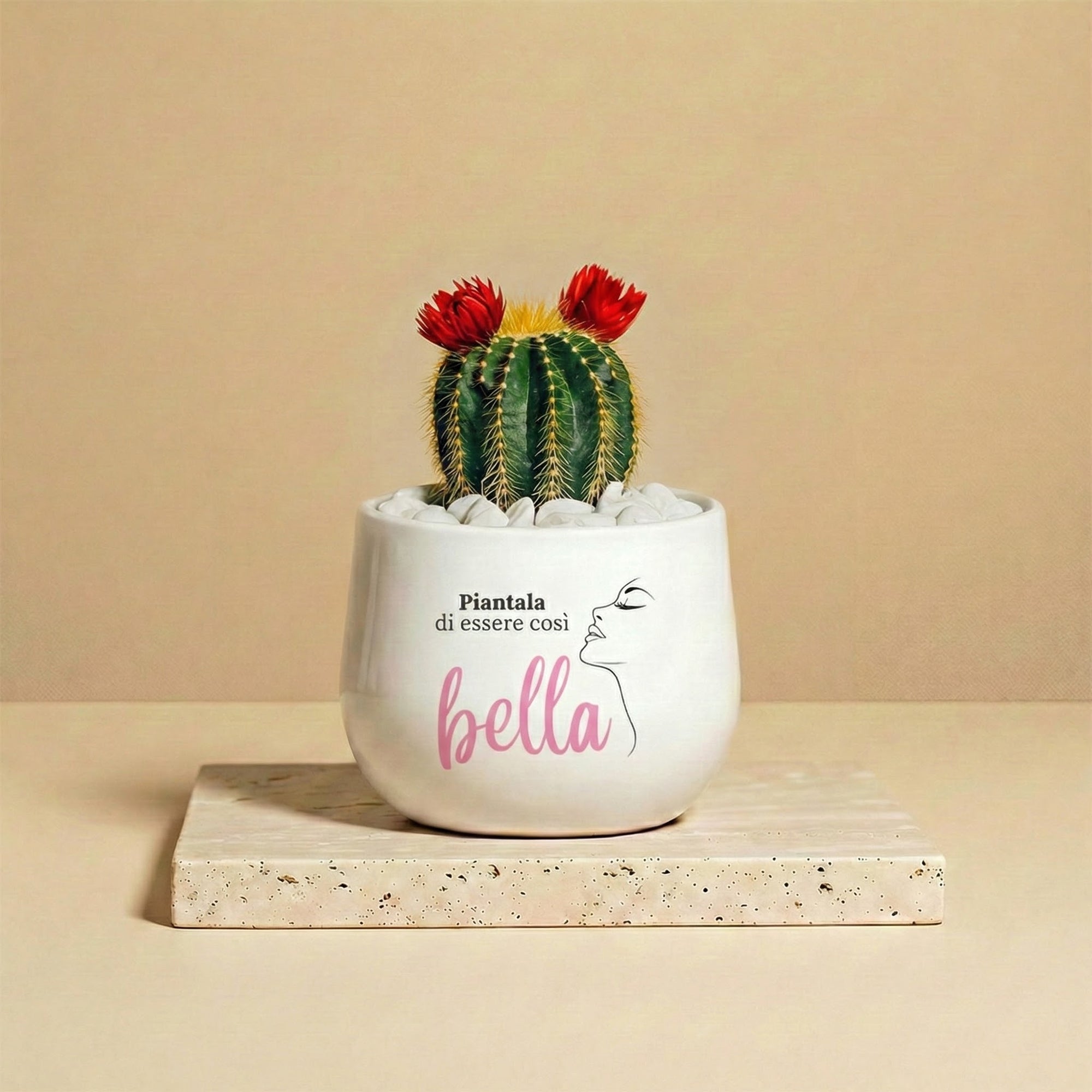 Piantala di essere così bella