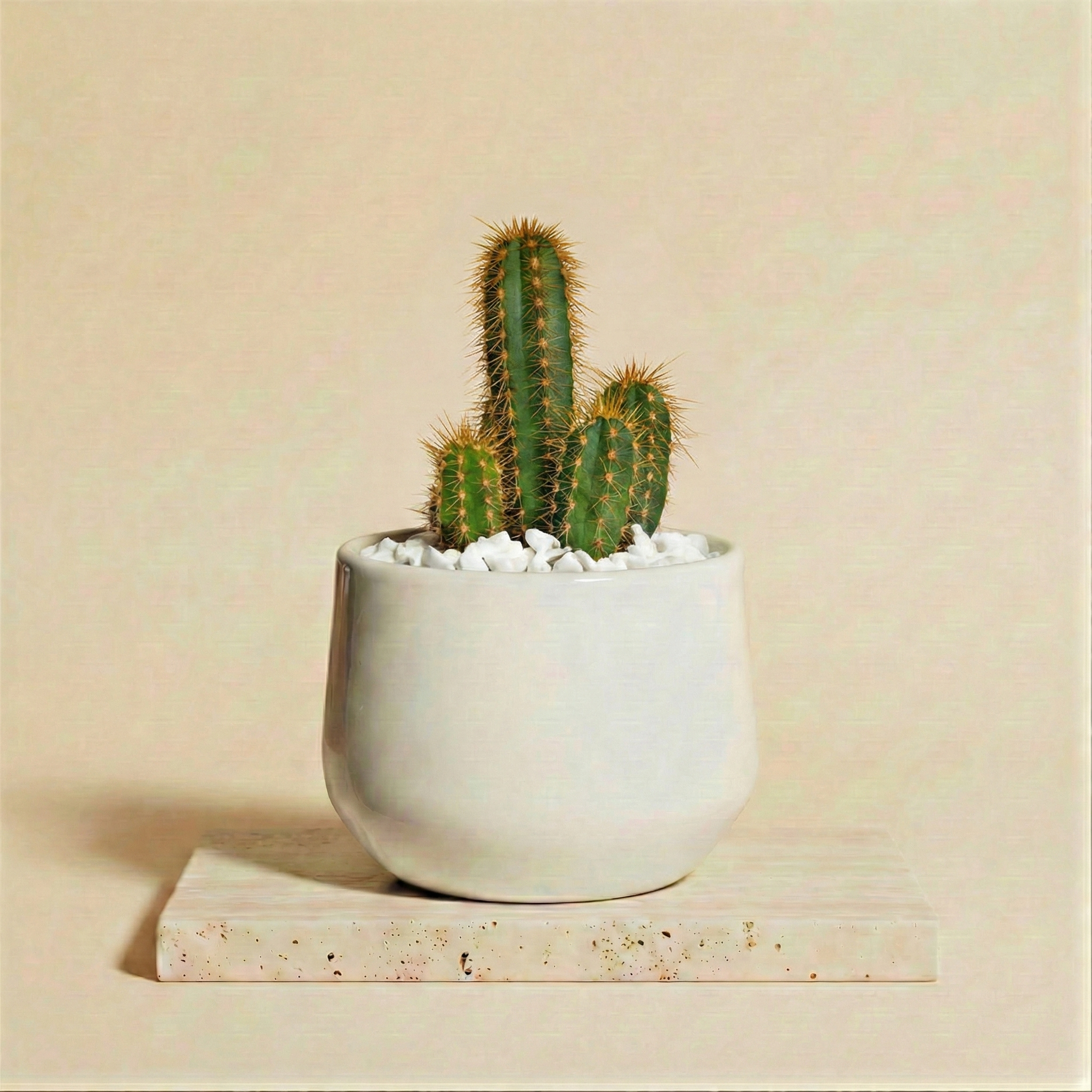 Vaso personalizzabile