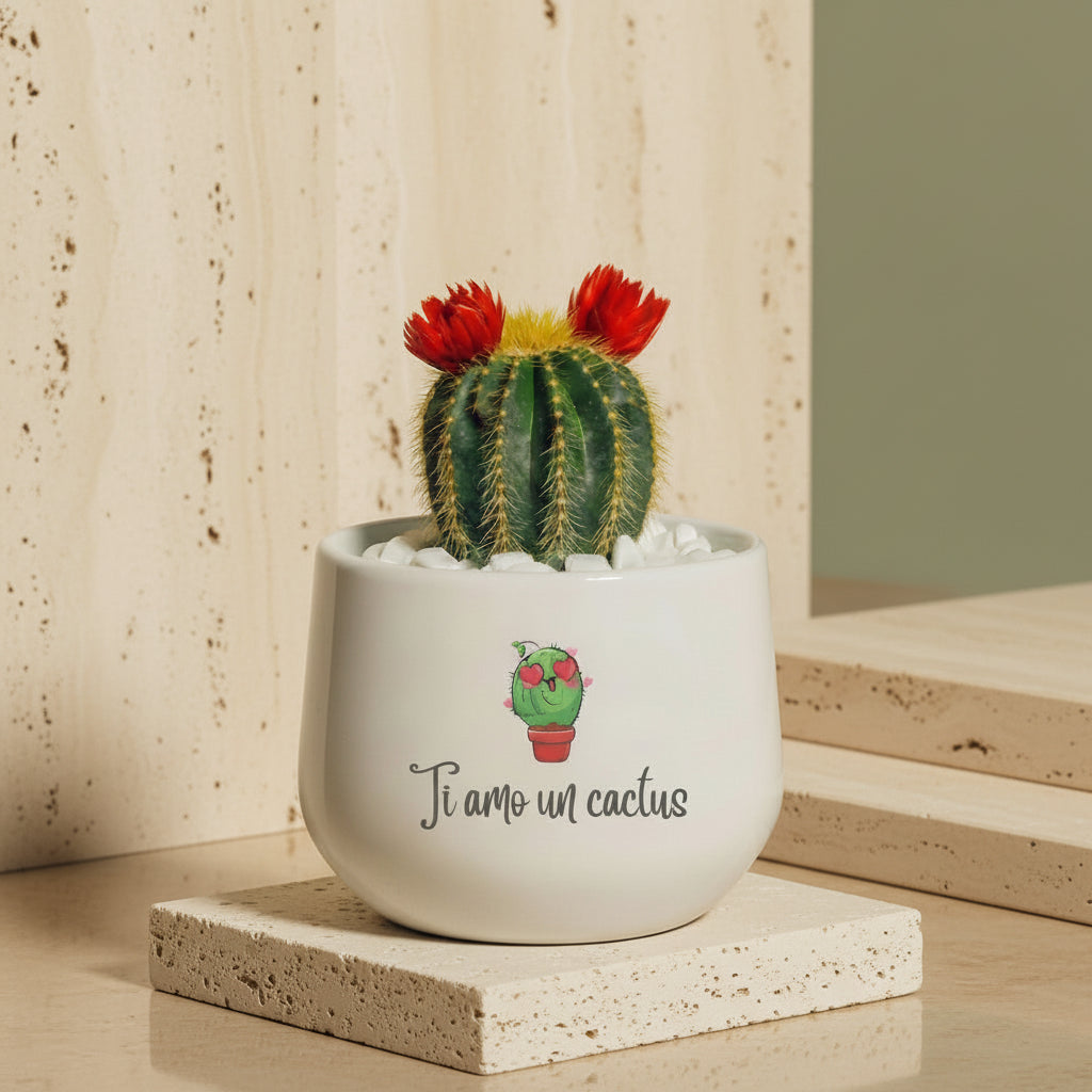 VASO DA FIORI guscio d'uovo ceramica fioriera per appendere a parete VASO DA FIORI guscio d'uovo ceramica fioriera per appendere a parete