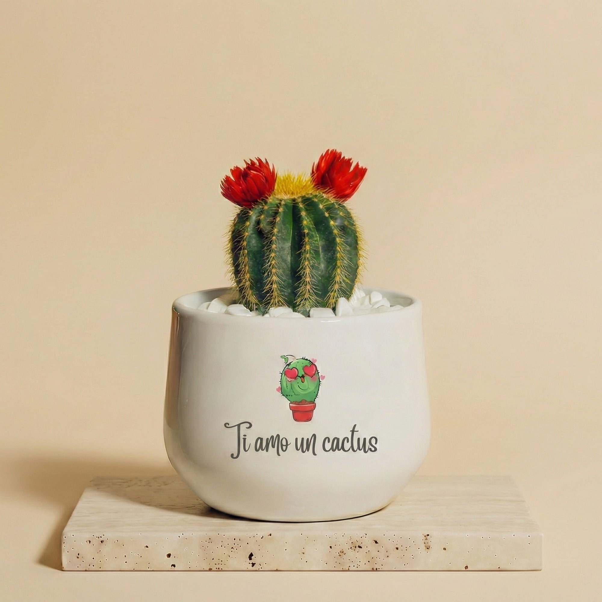 Ti amo un cactus