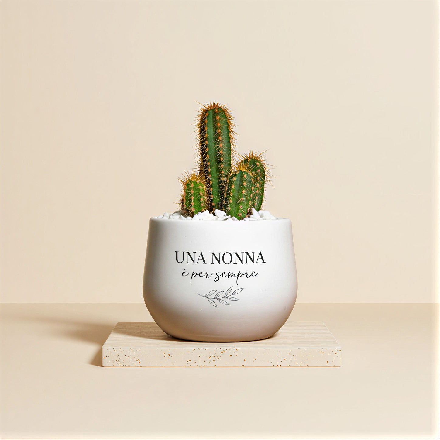 Una nonna è per sempre