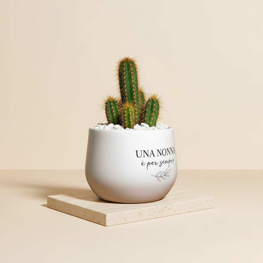 Una nonna è per sempre