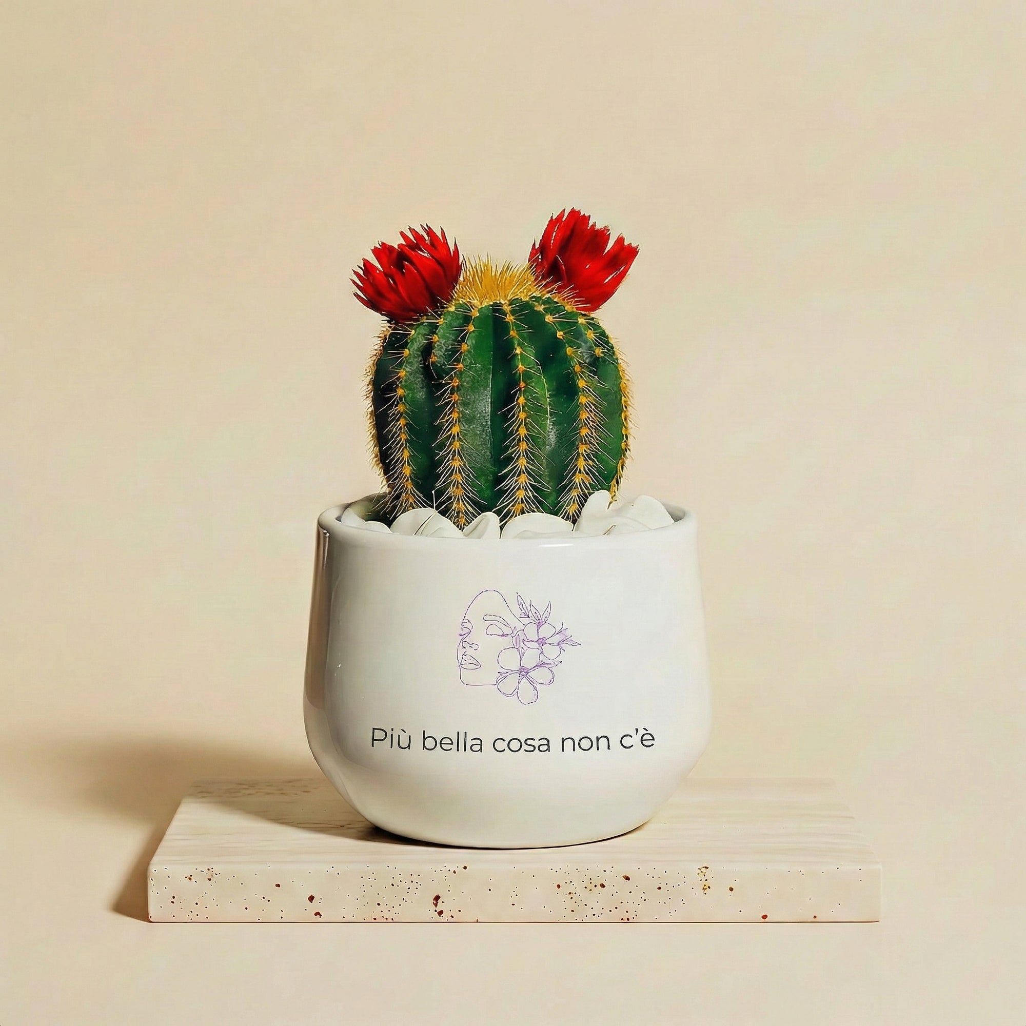 Più bella cosa non c'è