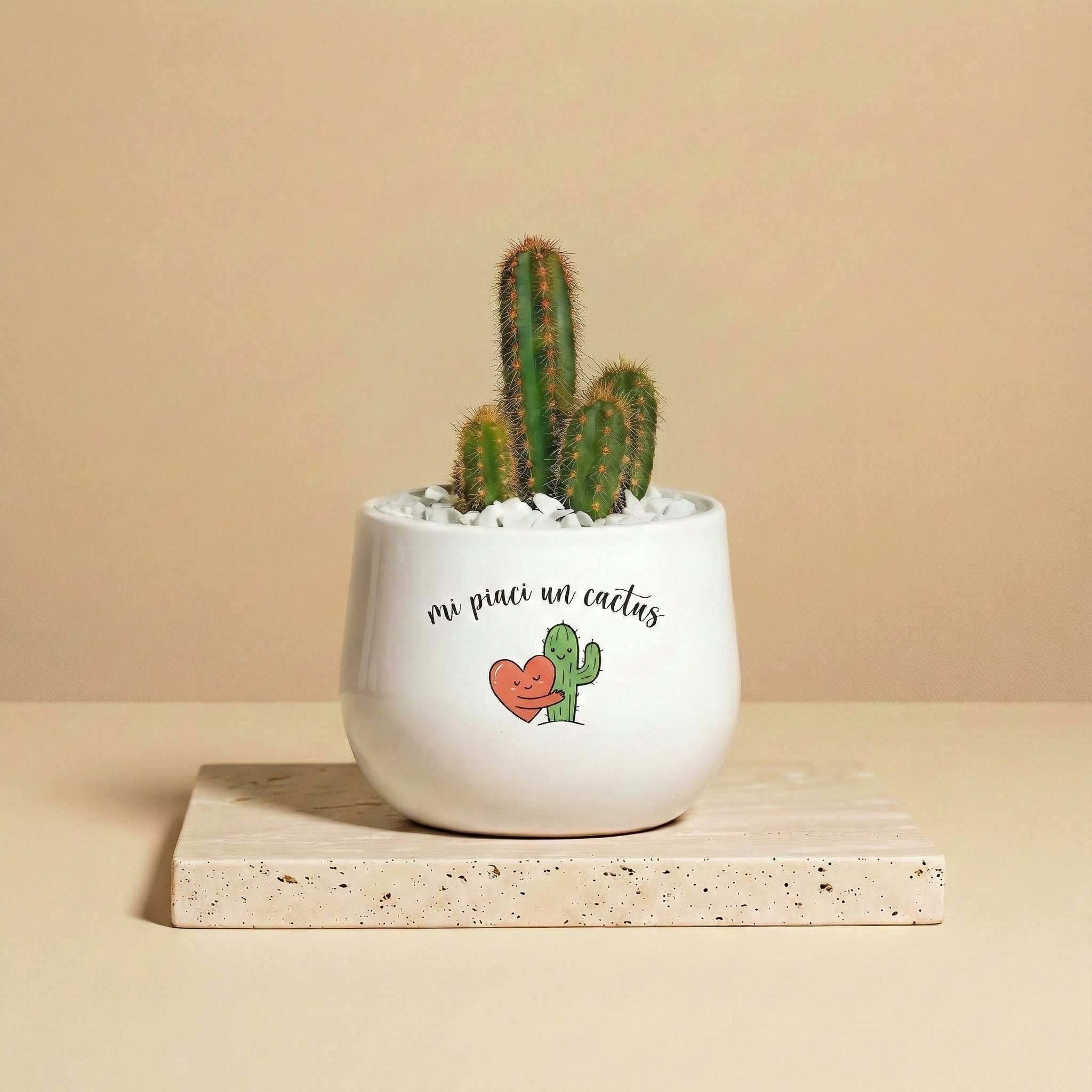 Mi piaci un cactus