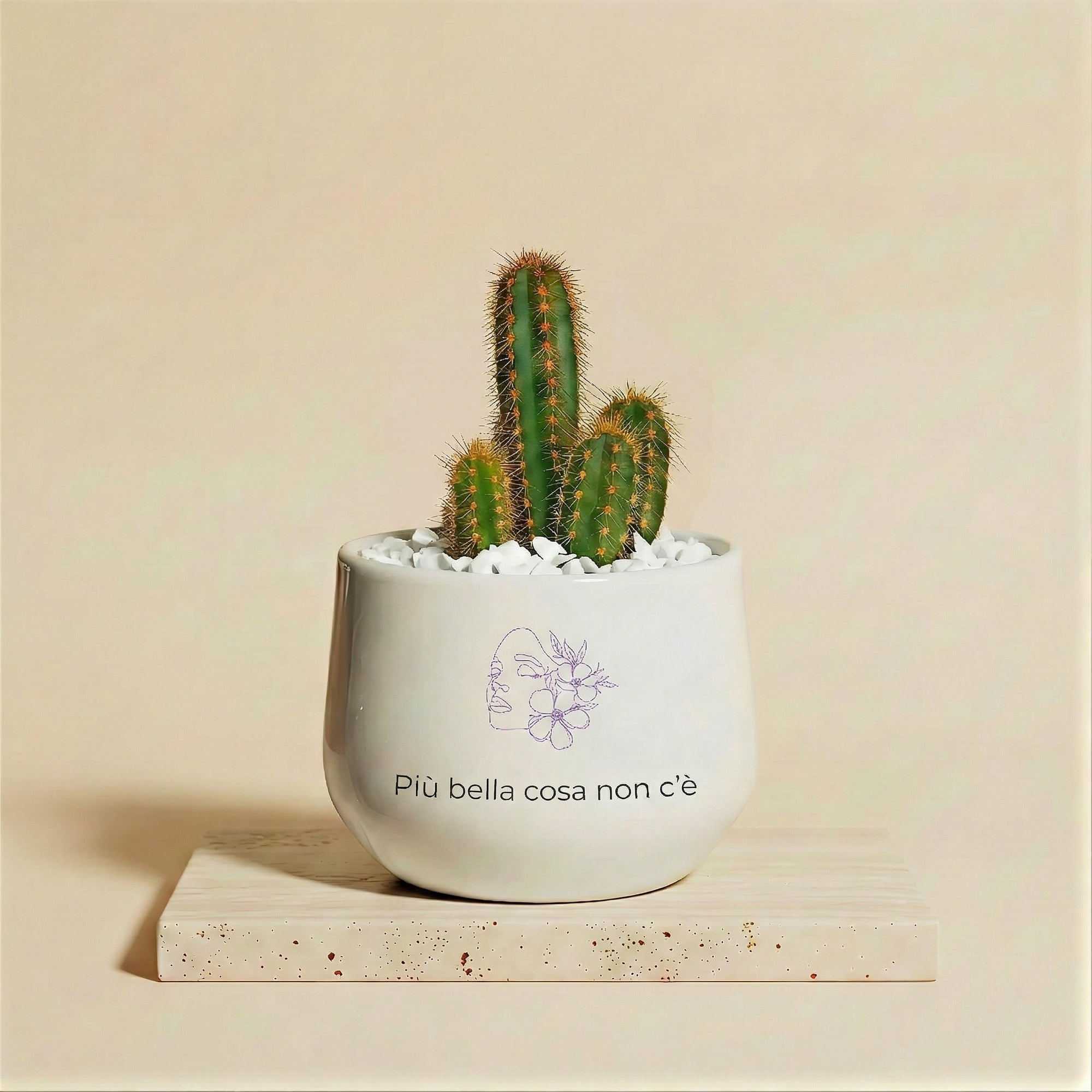 Più bella cosa non c'è