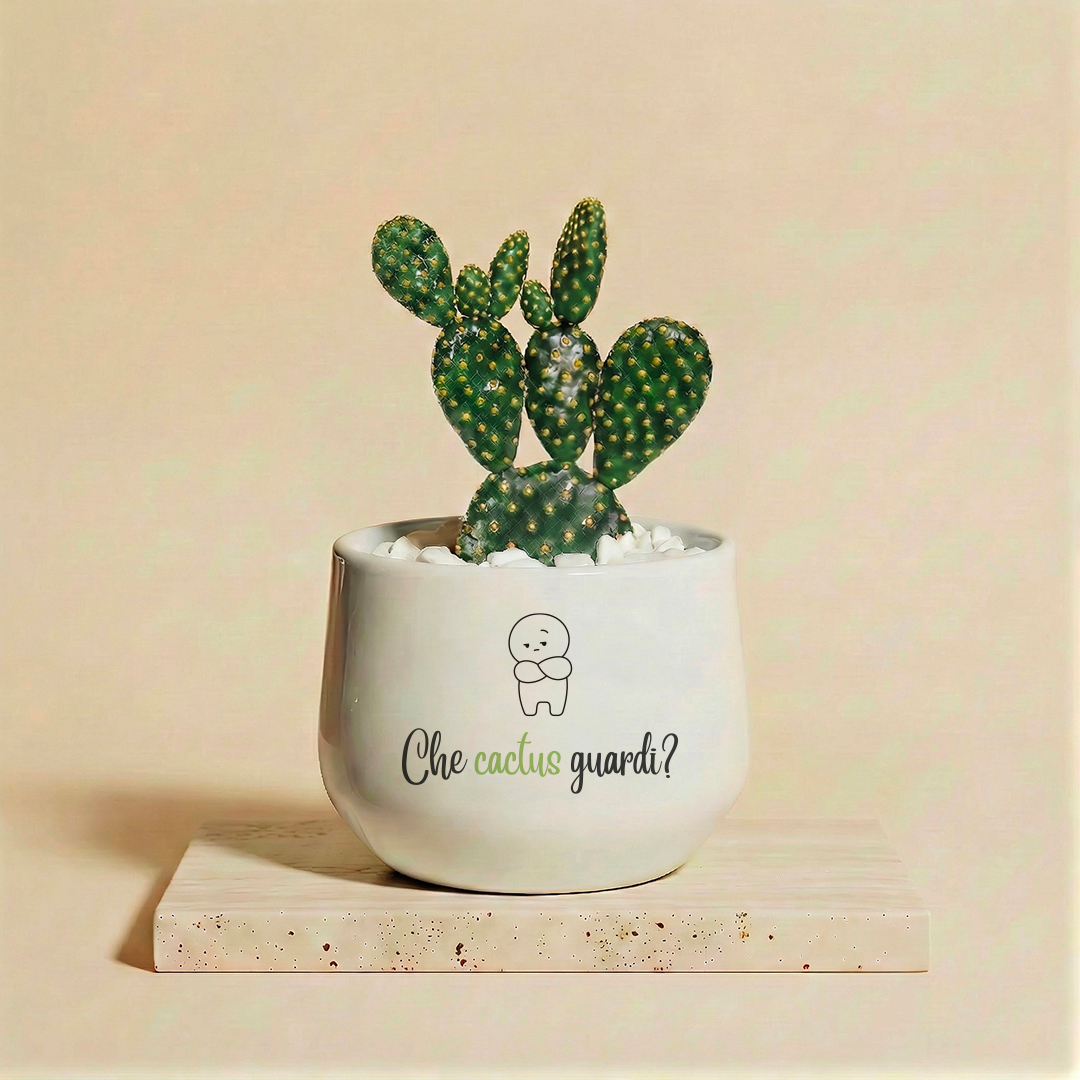 Che cactus guardi
