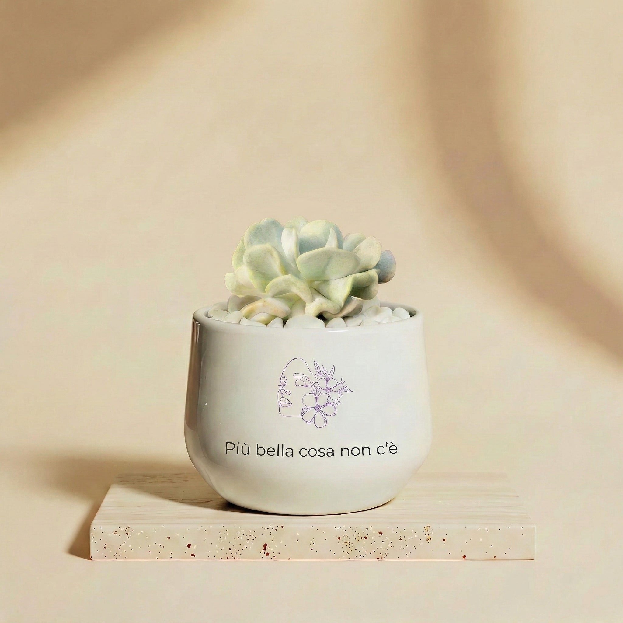 Più bella cosa non c'è