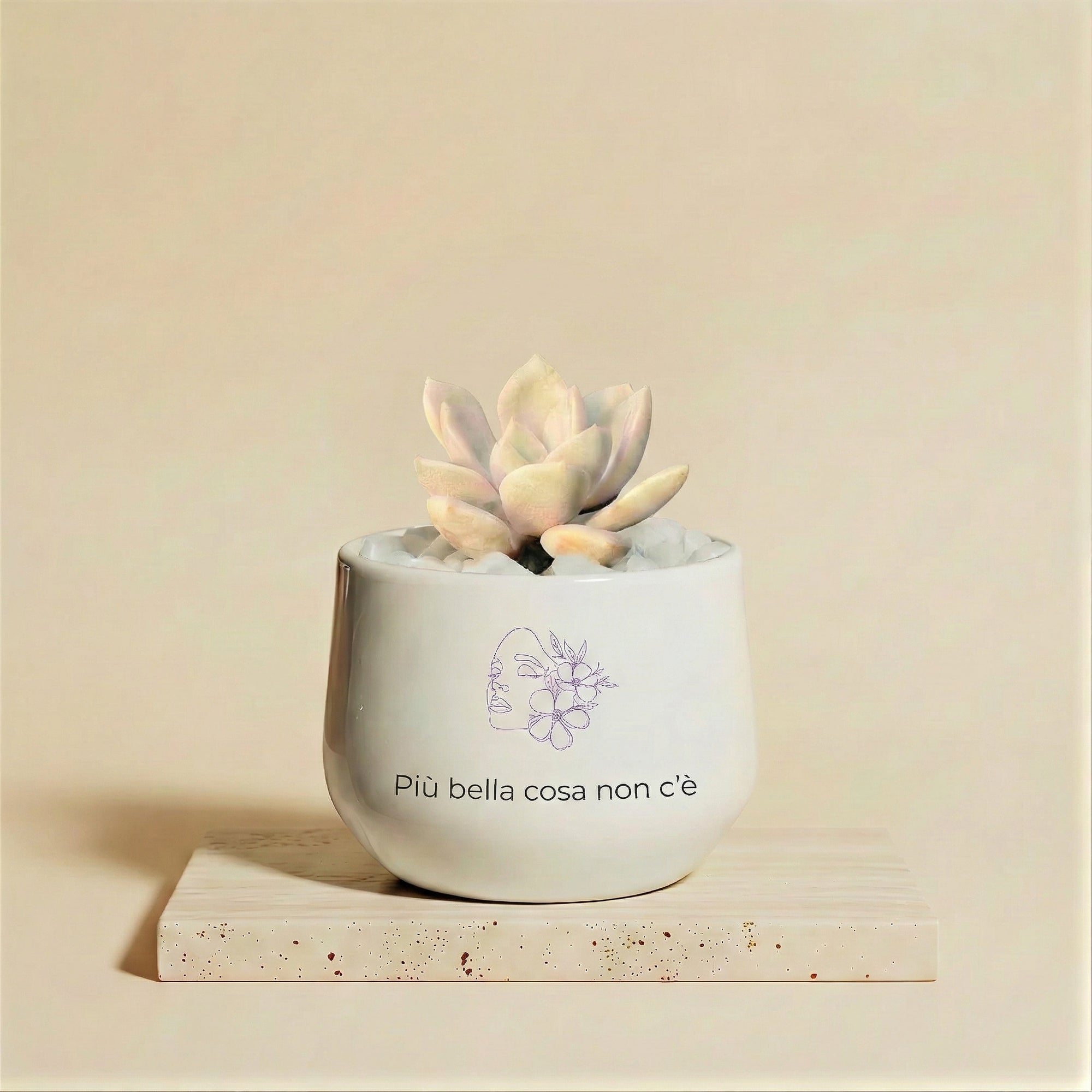 Più bella cosa non c'è