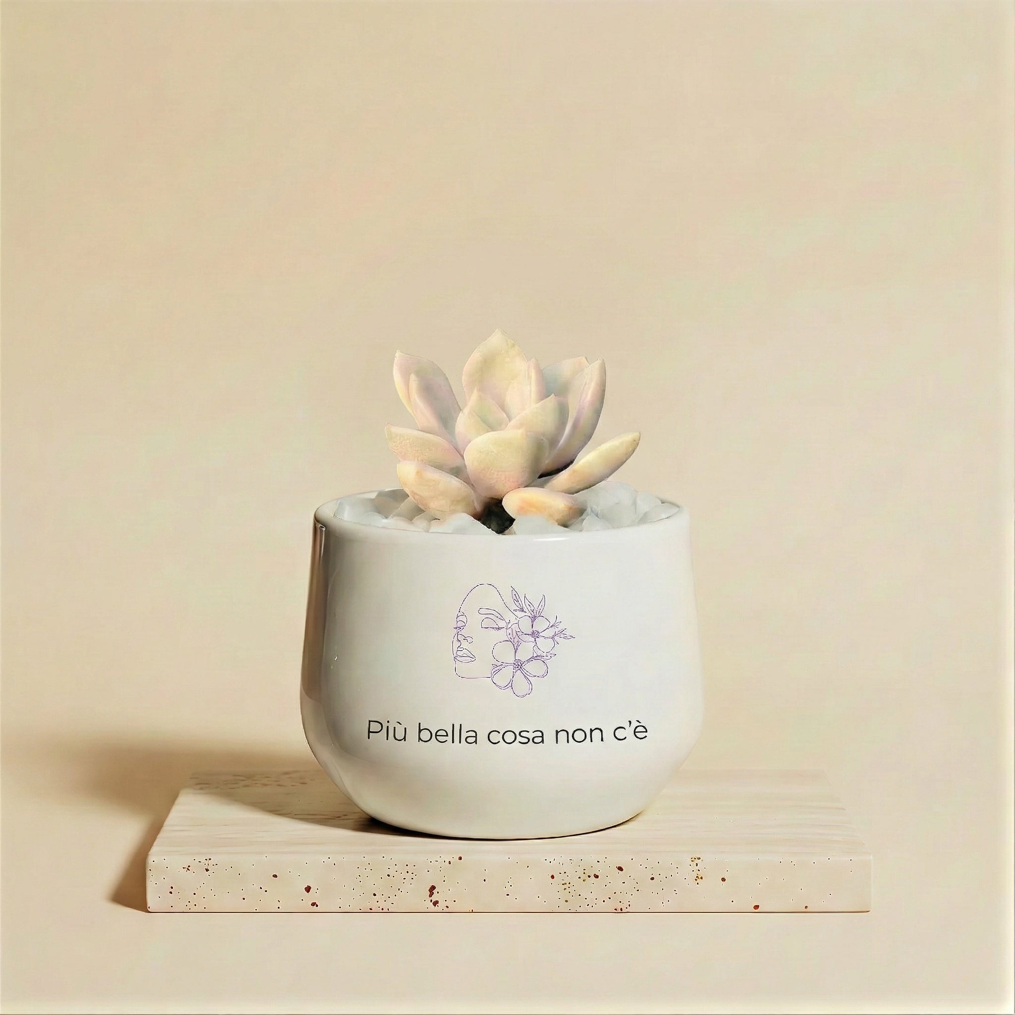 Più bella cosa non c'è