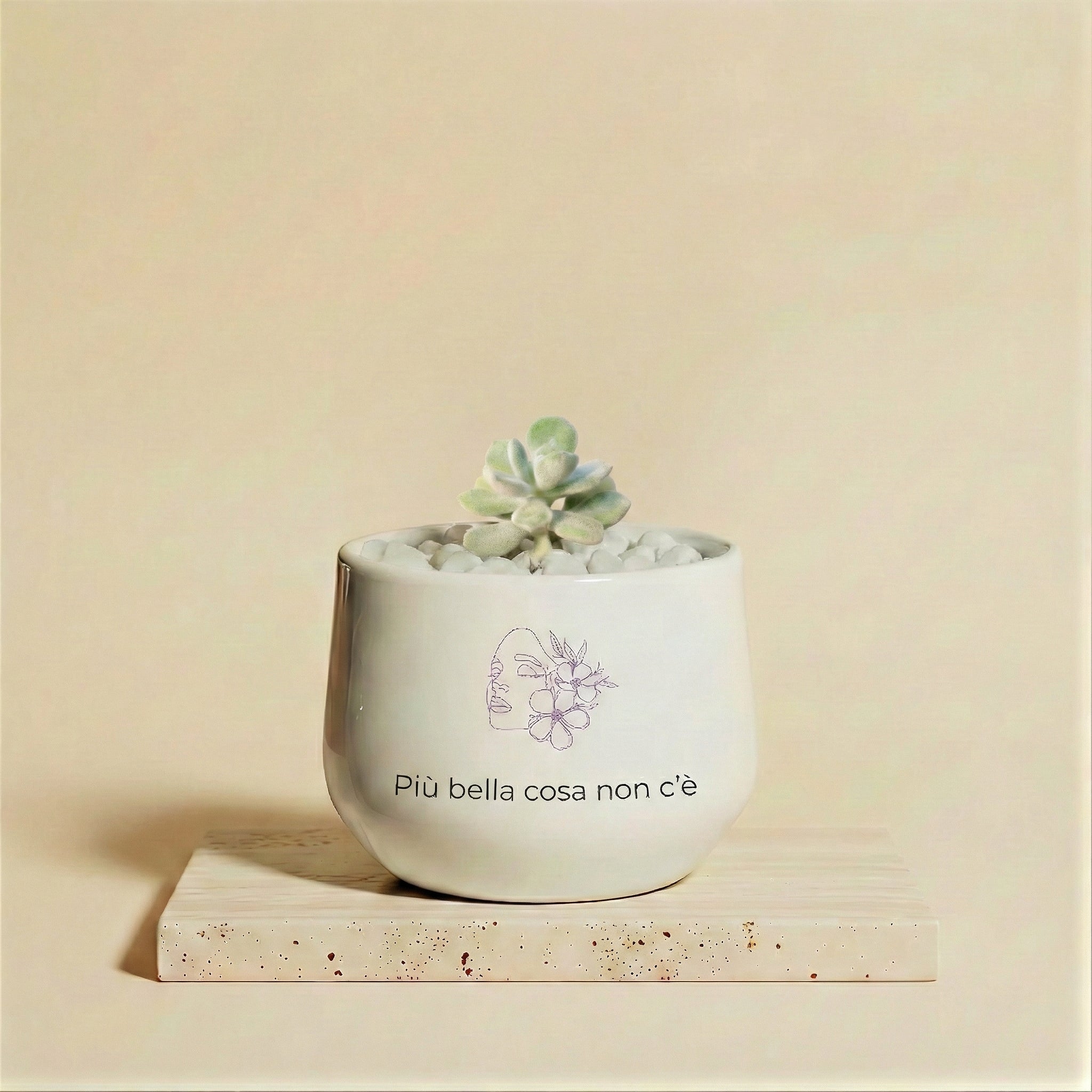 Più bella cosa non c'è