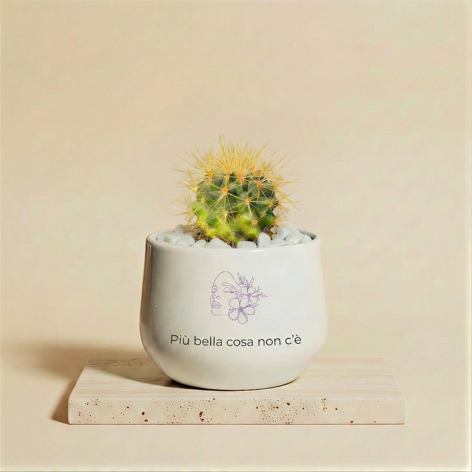 Più bella cosa non c'è