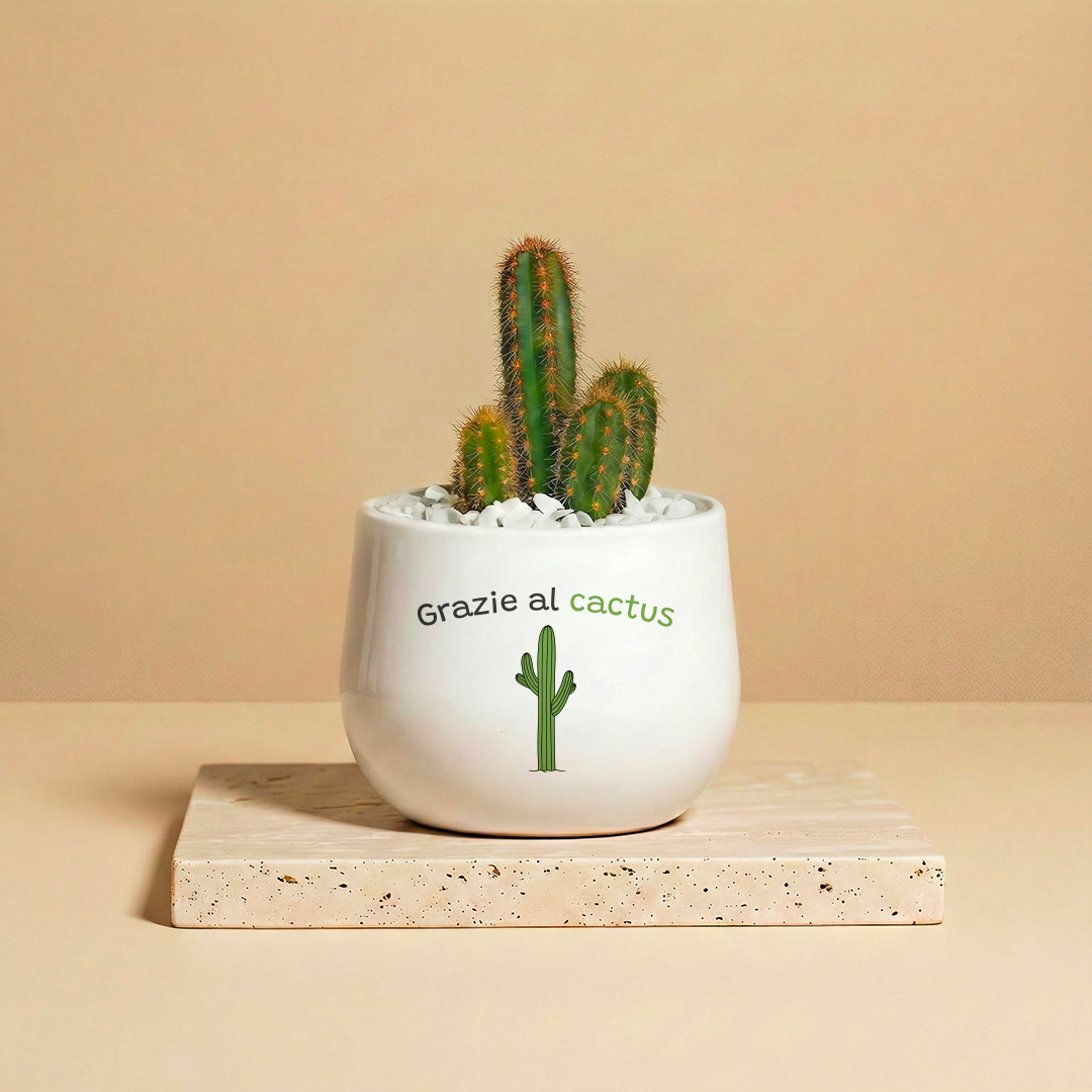 Grazie al cactus