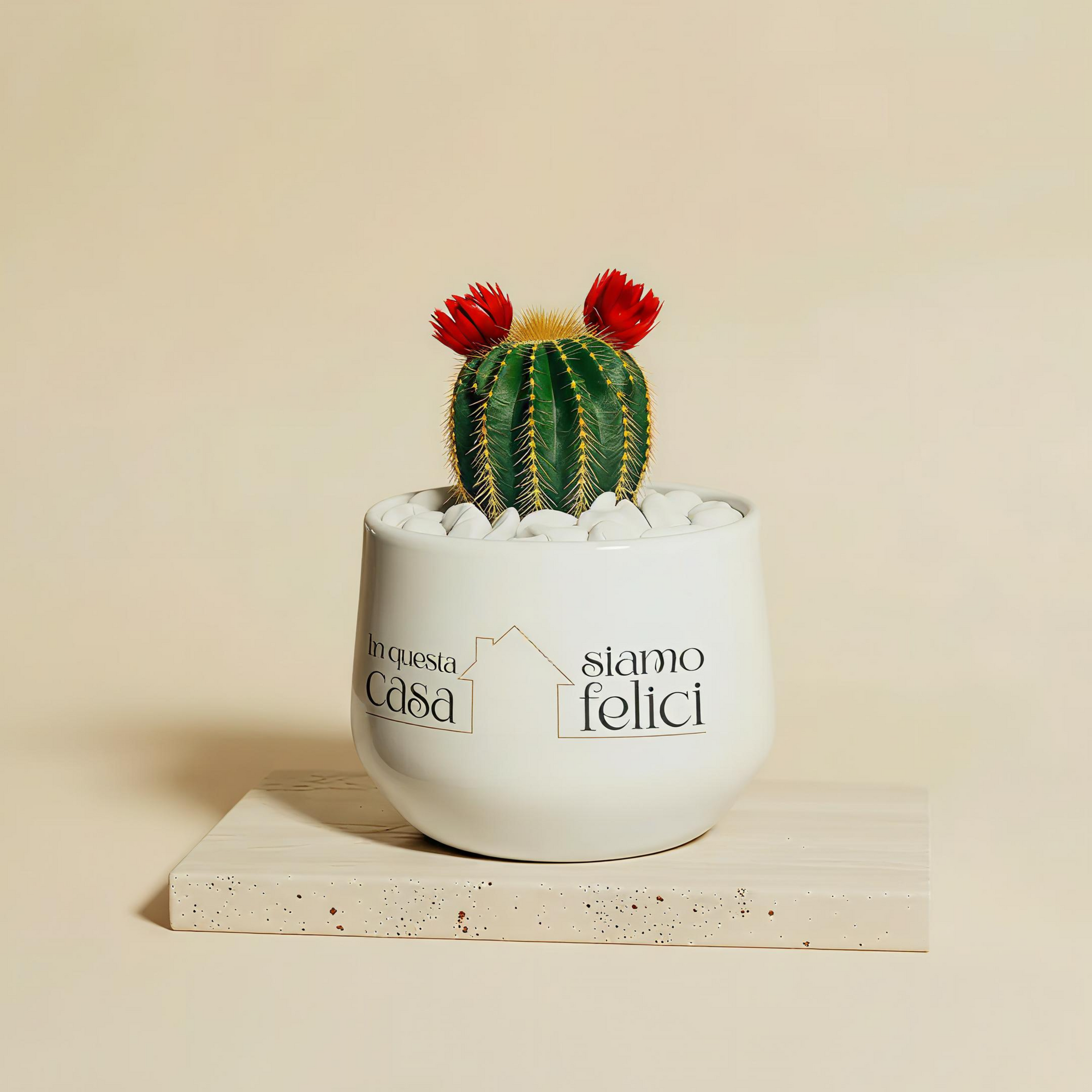 In questa casa siamo felici