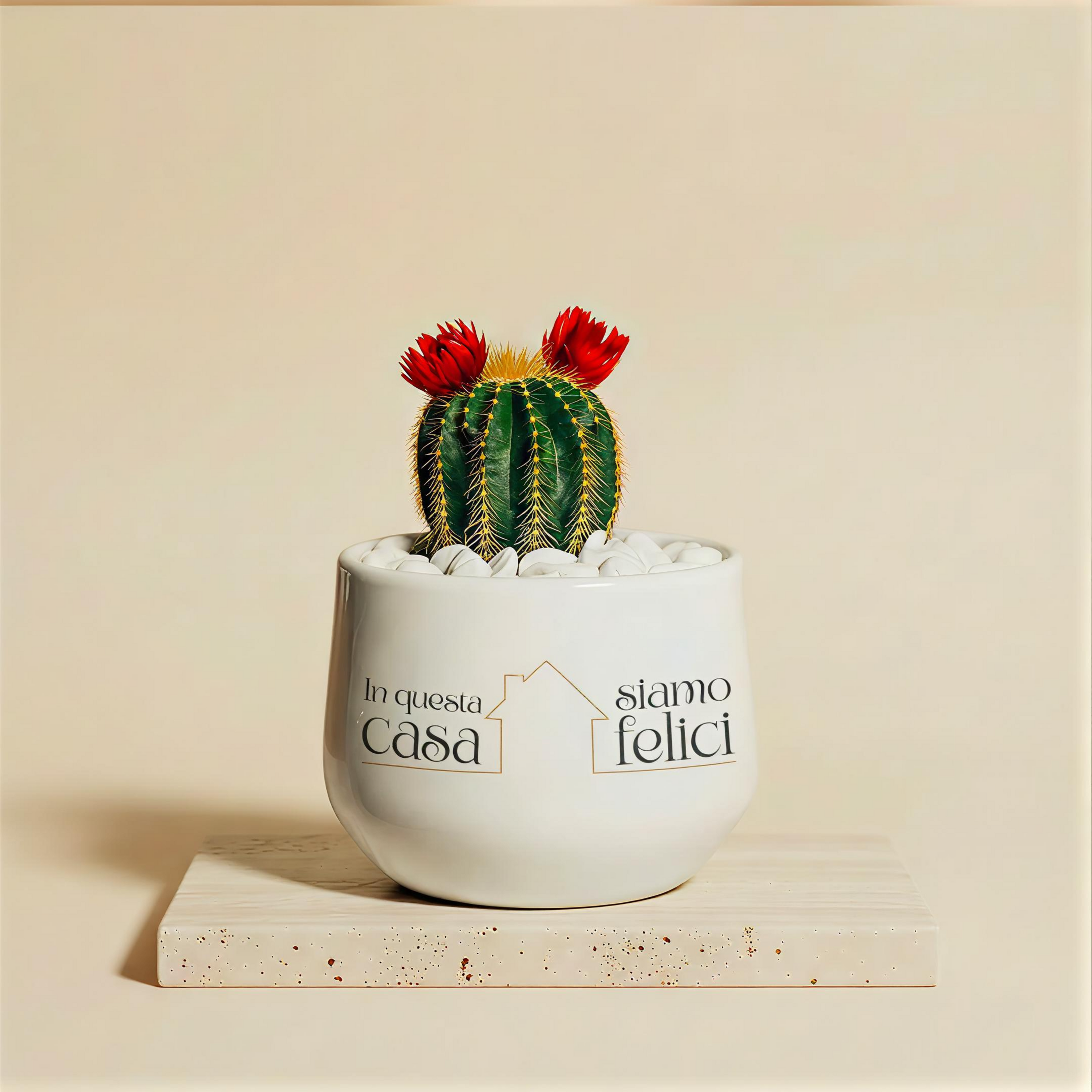 In questa casa siamo felici