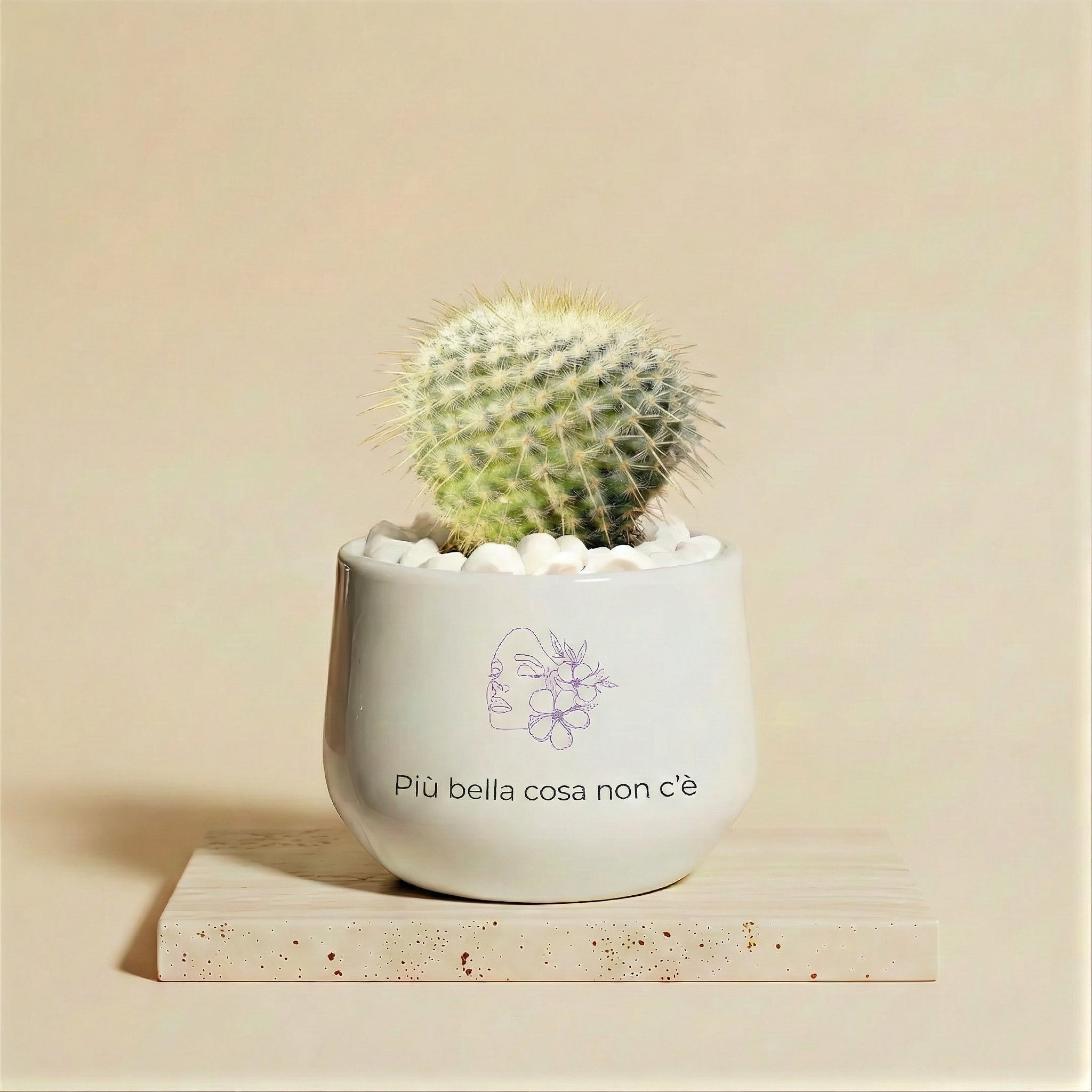 Più bella cosa non c'è