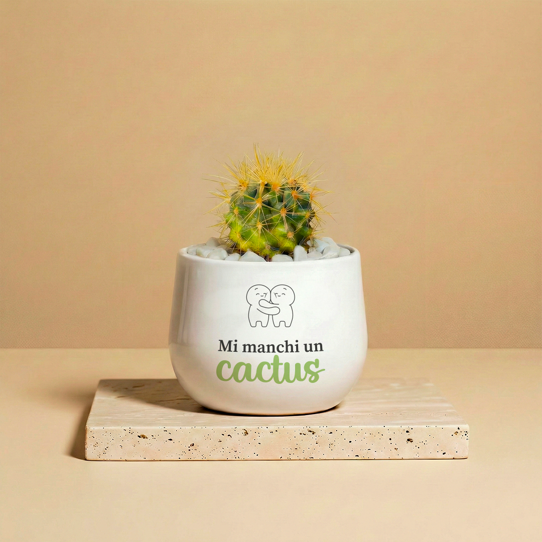 Mi manchi un cactus