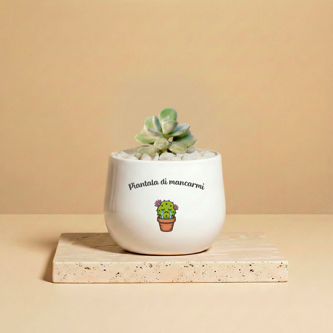 Piantala di mancarmi