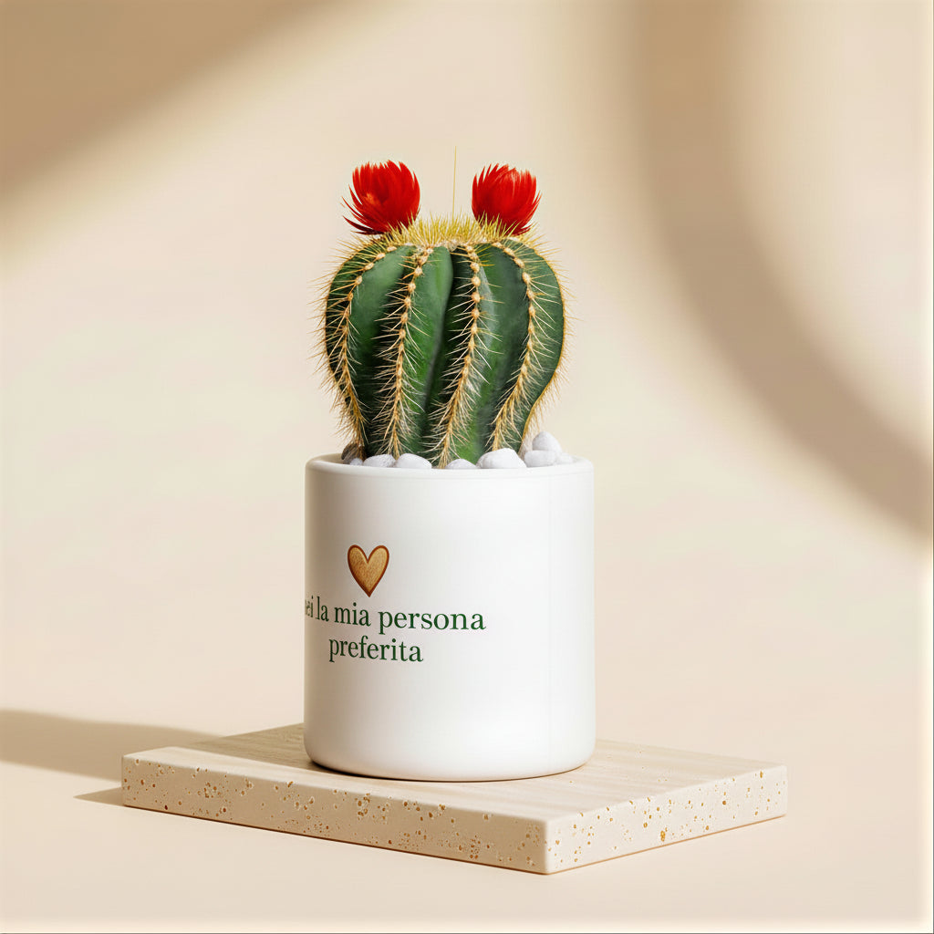 Sei la mia persona preferita