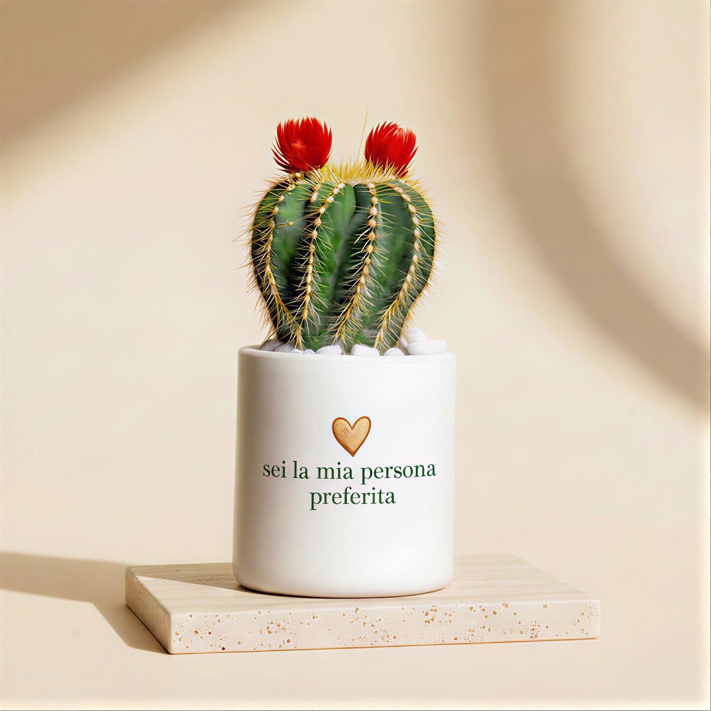 Sei la mia persona preferita