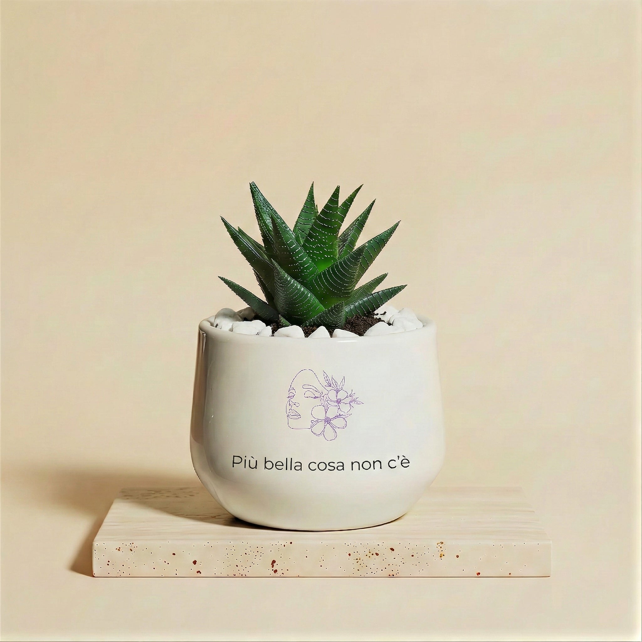 Più bella cosa non c'è