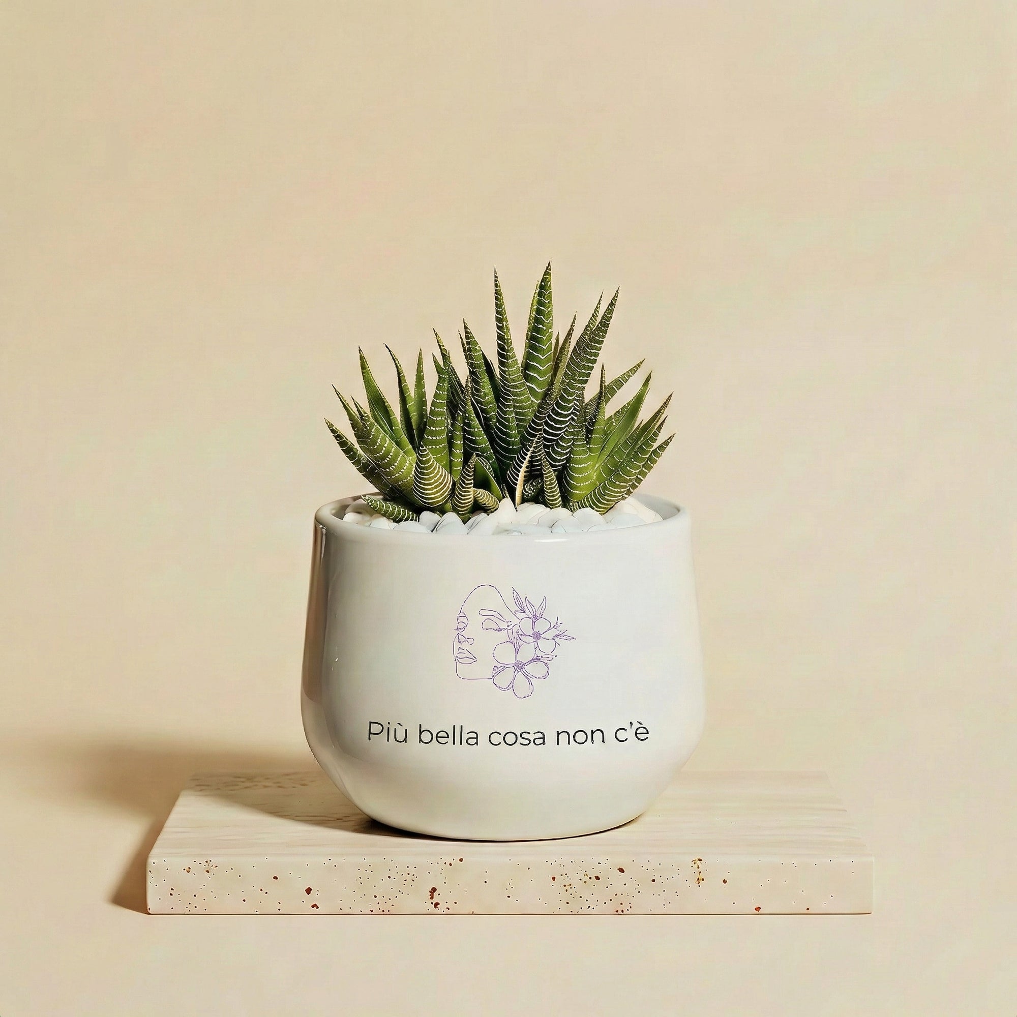 Più bella cosa non c'è