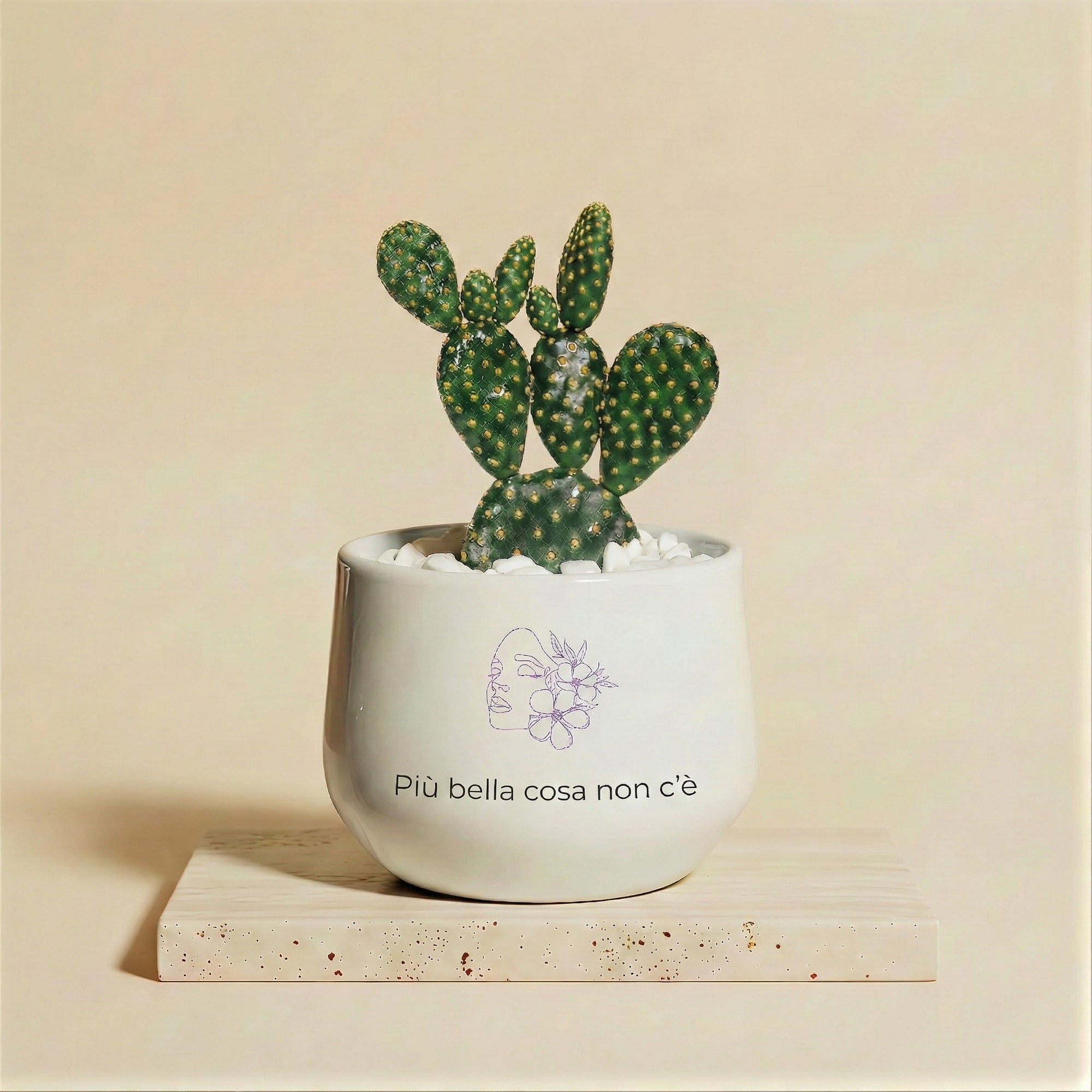 Più bella cosa non c'è